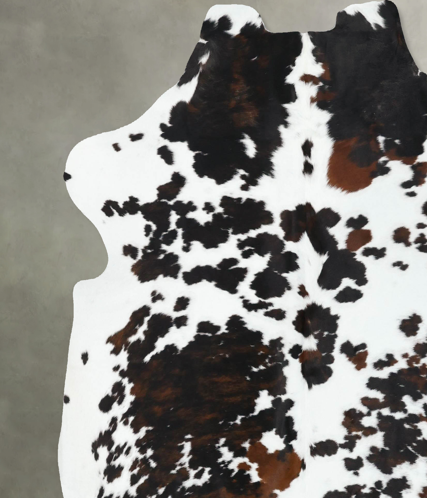 Tricolor Cowhide Rug #B22599