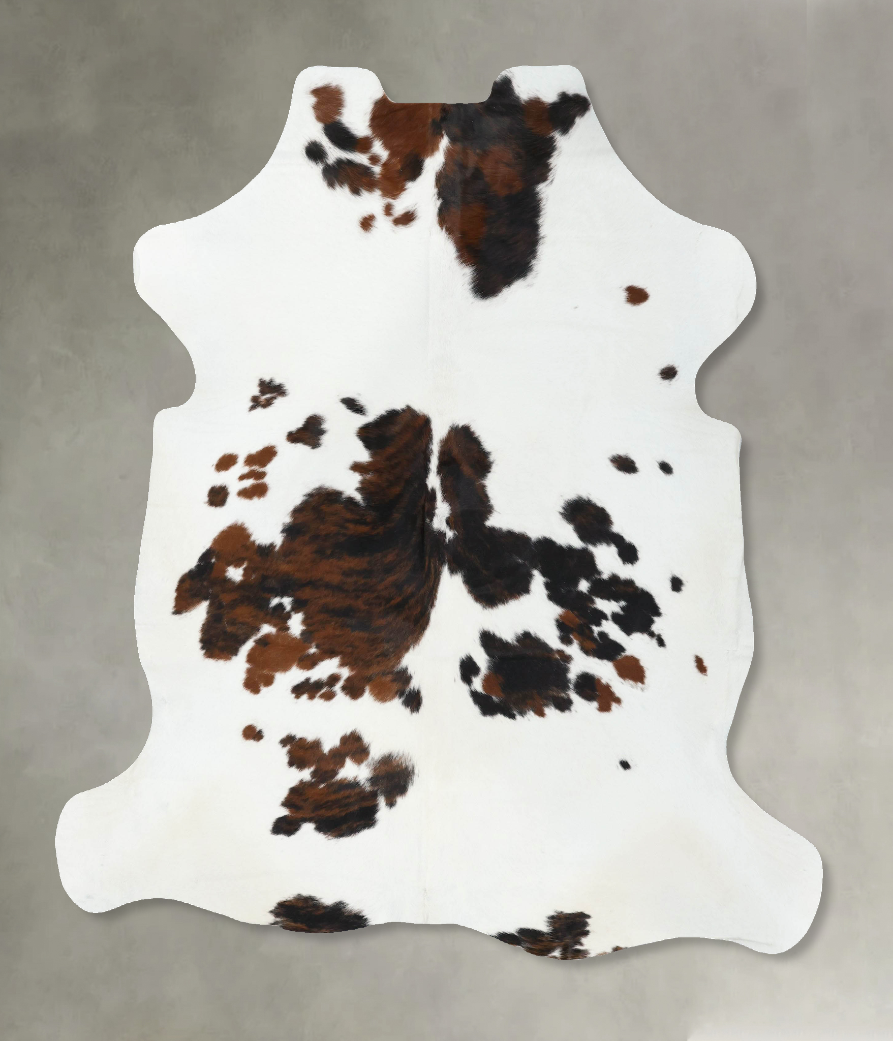 Tricolor Cowhide Rug #B22600