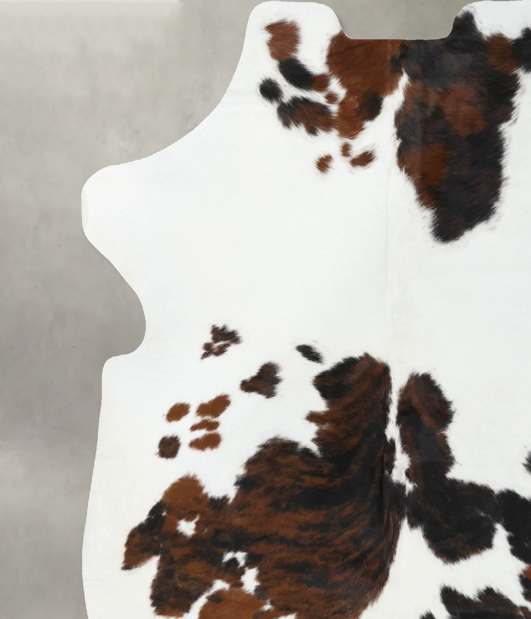 Tricolor Cowhide Rug #B22600