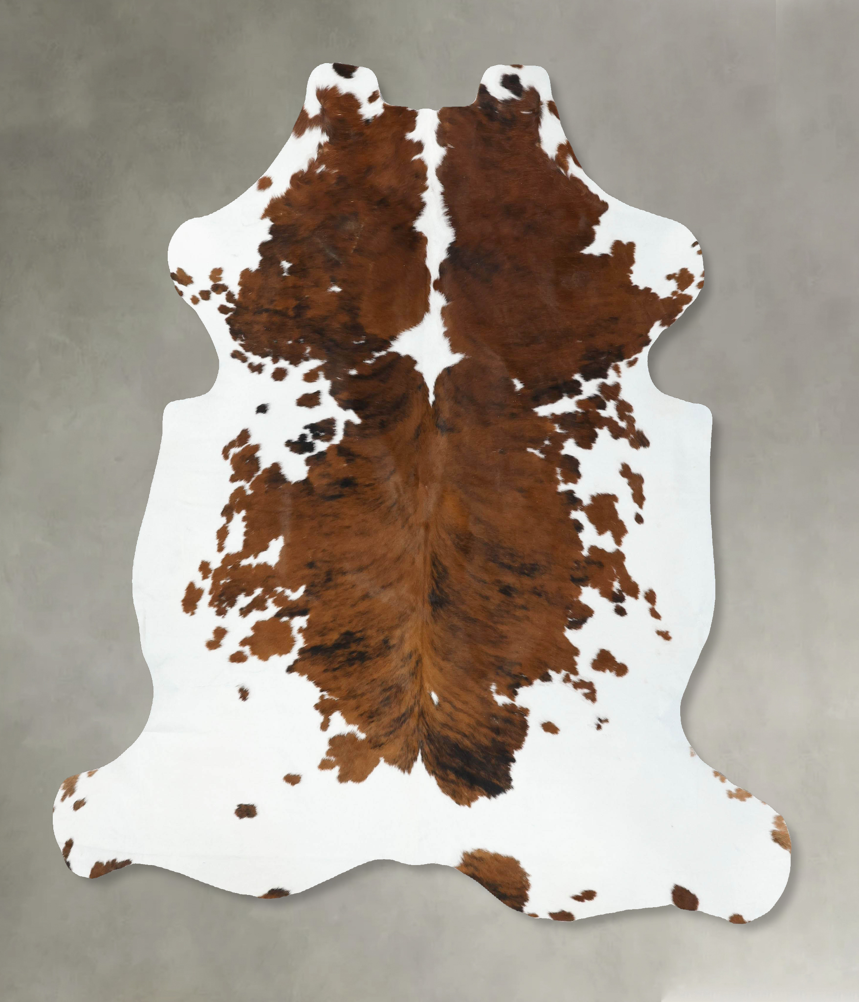 Tricolor Cowhide Rug #B22601