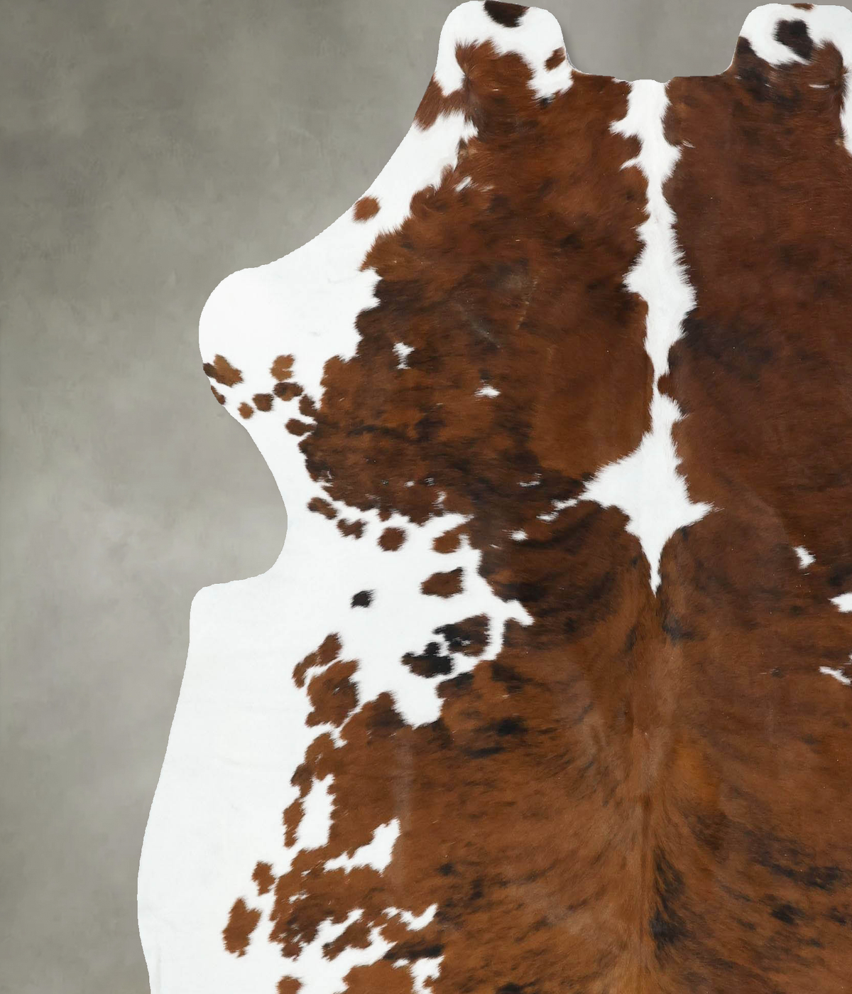 Tricolor X-Large European Cowhide Rug 7'3"H x 6'6"W #B22601 by Hudson Hides