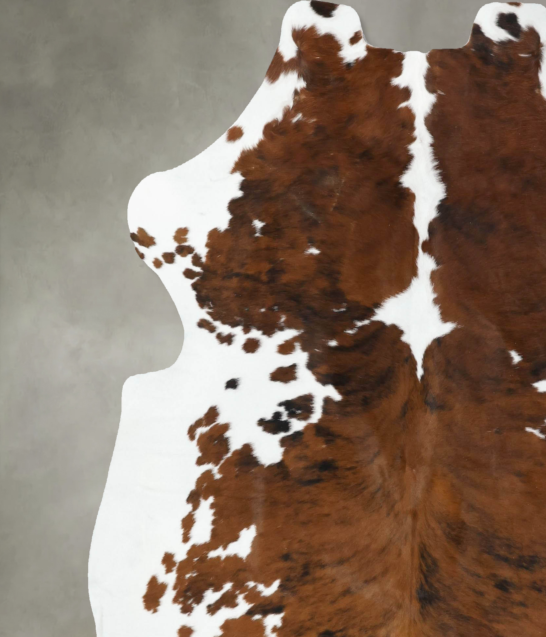 Tricolor Cowhide Rug #B22601