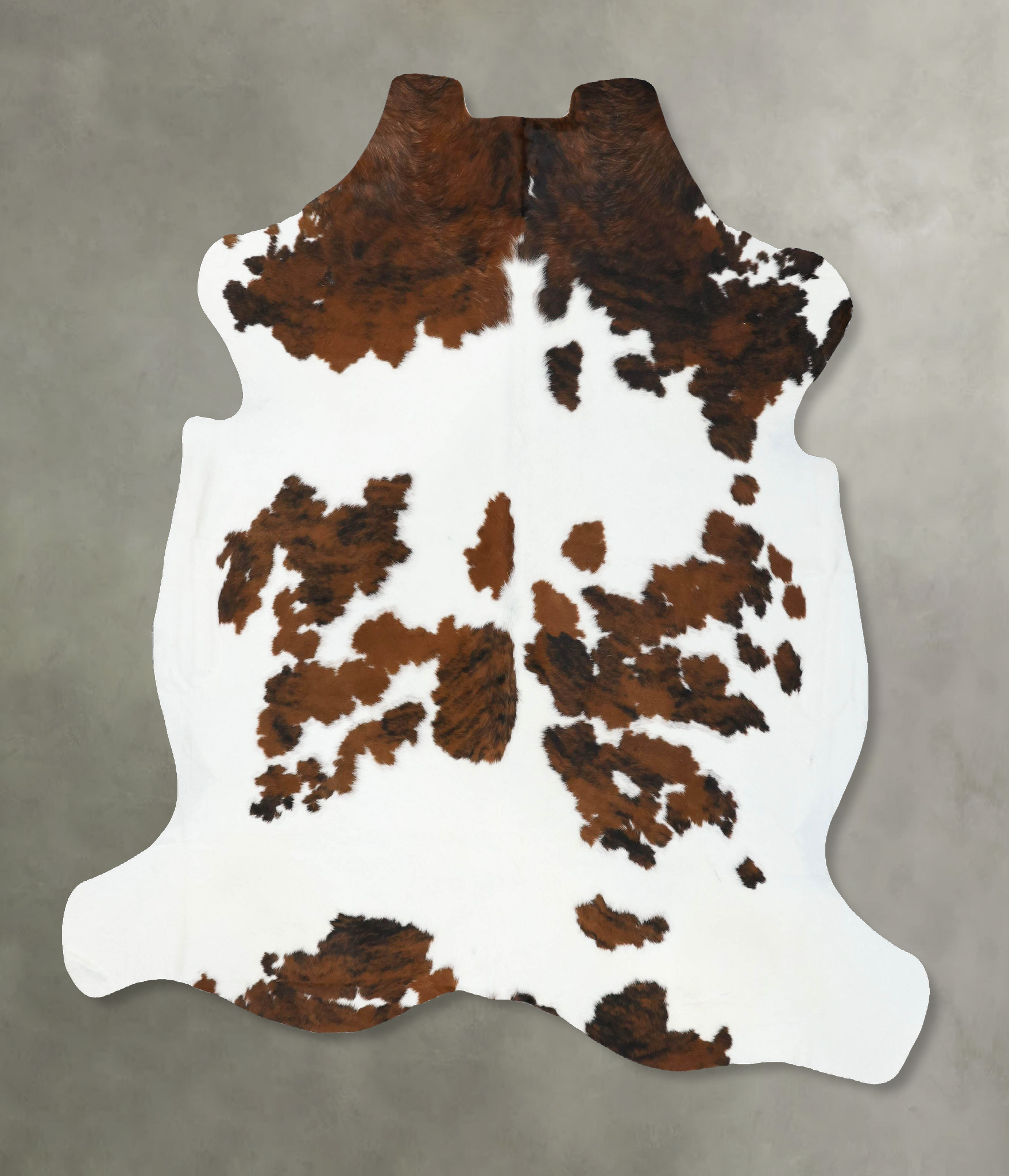 Tricolor Cowhide Rug #B22602