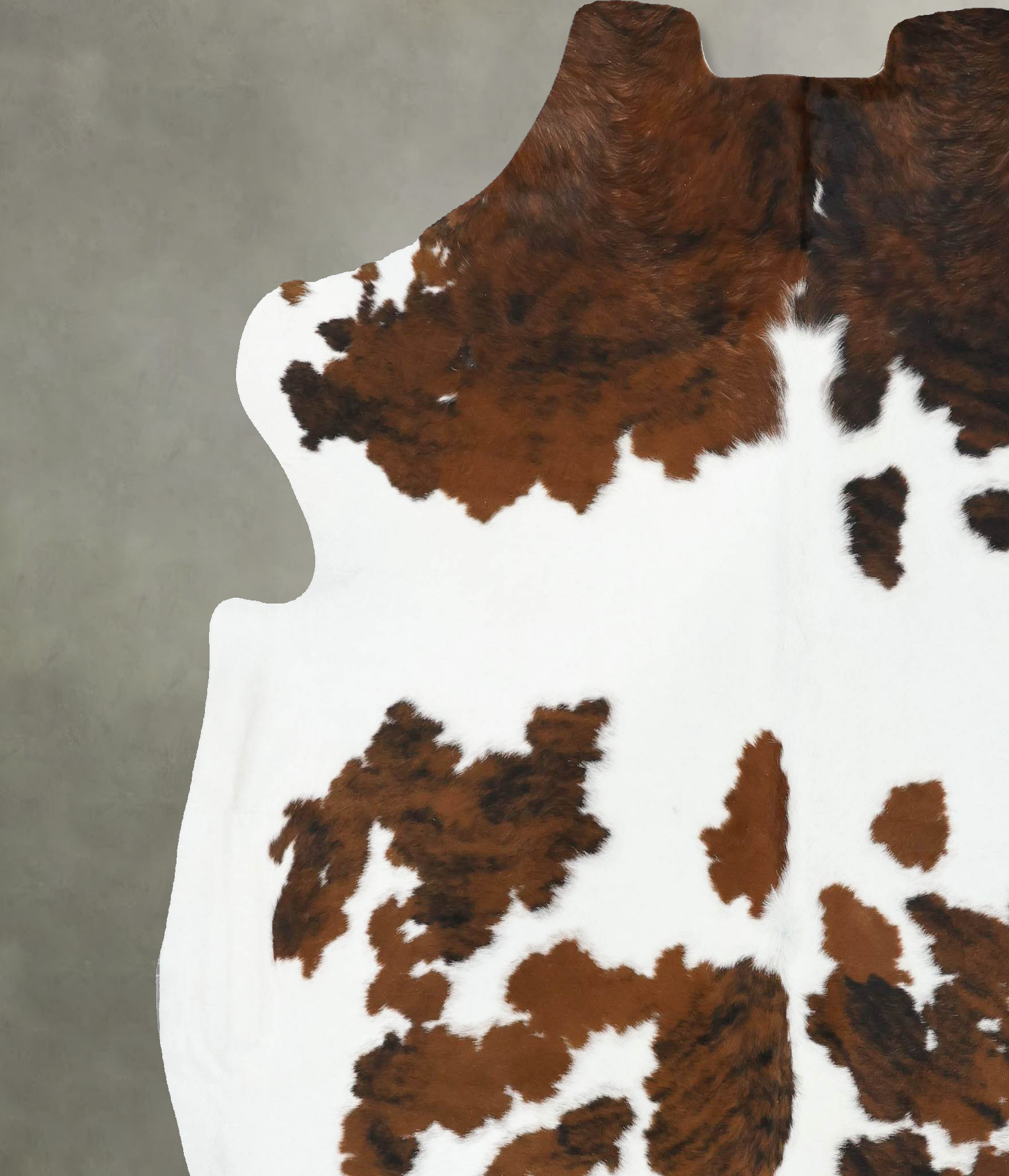 Tricolor Cowhide Rug #B22602