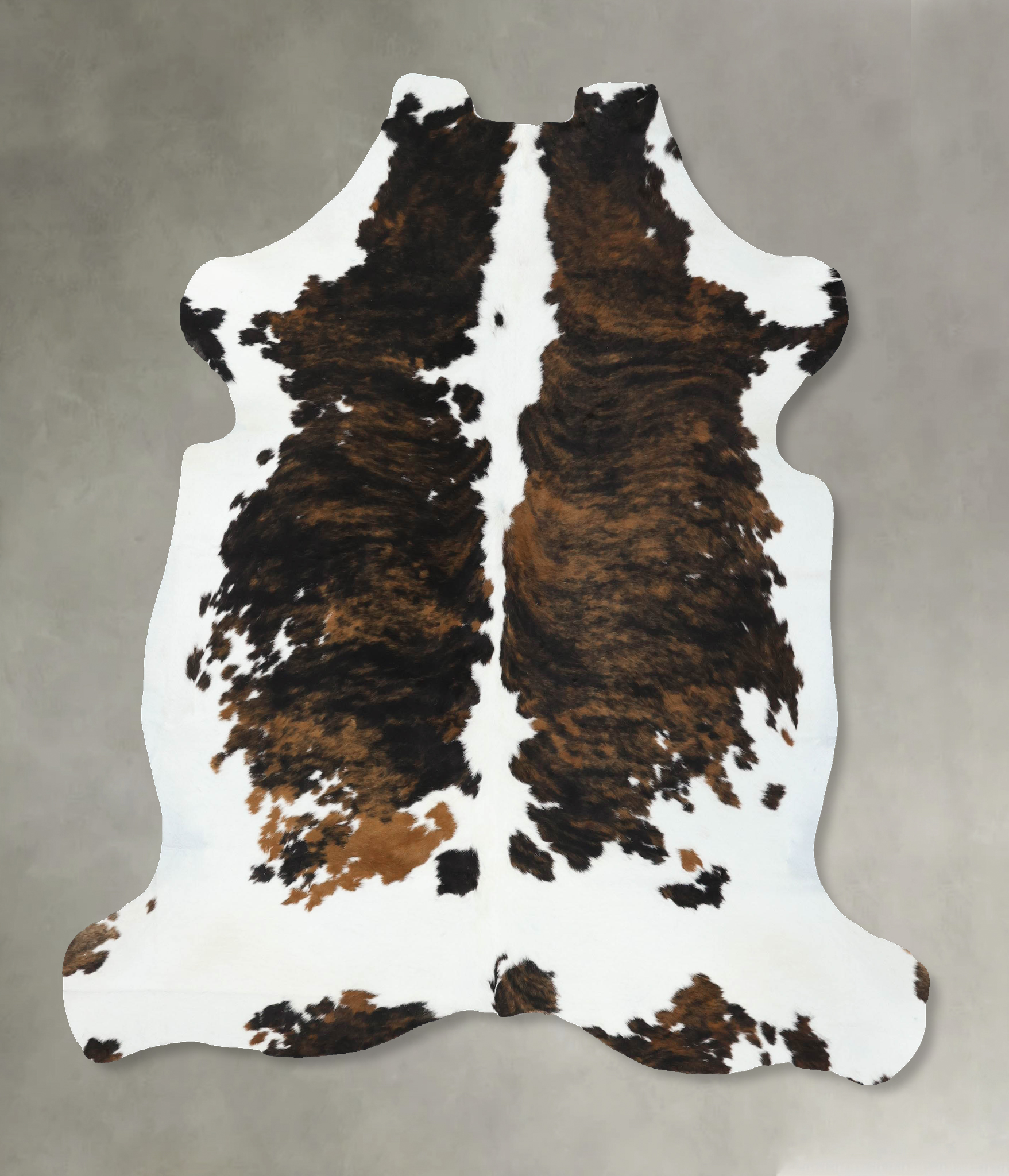 Tricolor Cowhide Rug #B22603