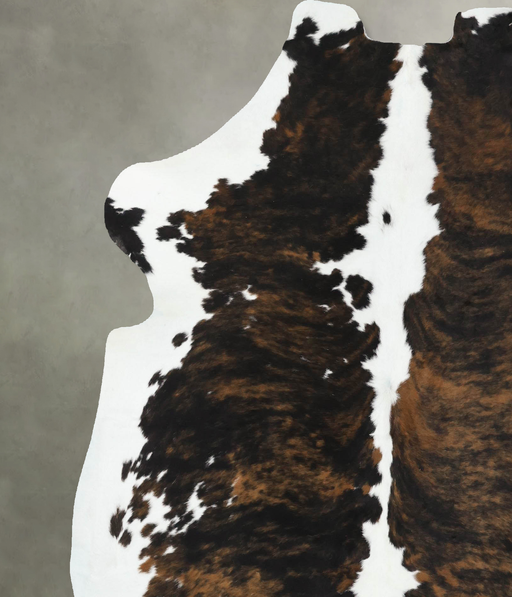 Tricolor Cowhide Rug #B22603
