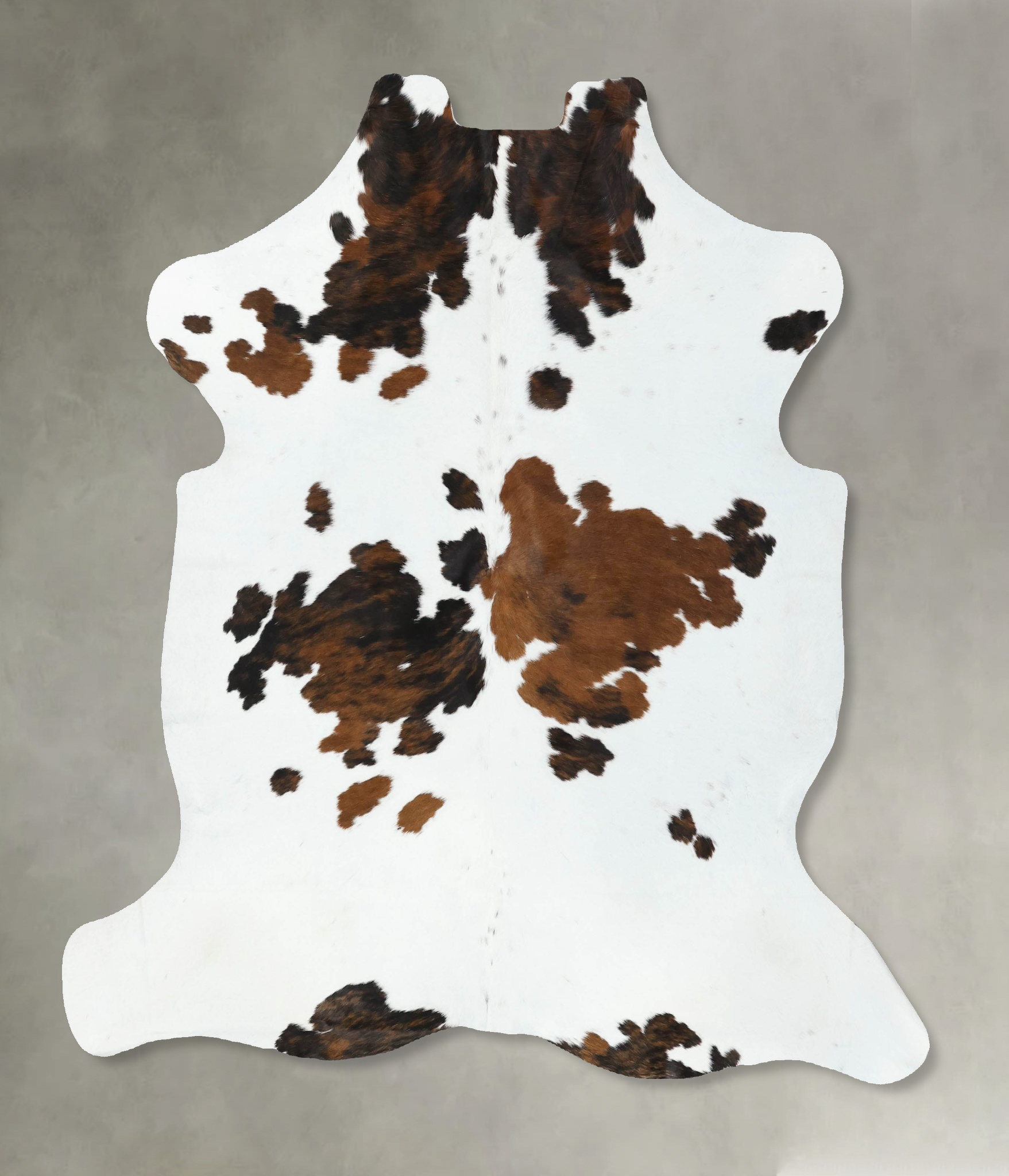 Tricolor Cowhide Rug #B22604