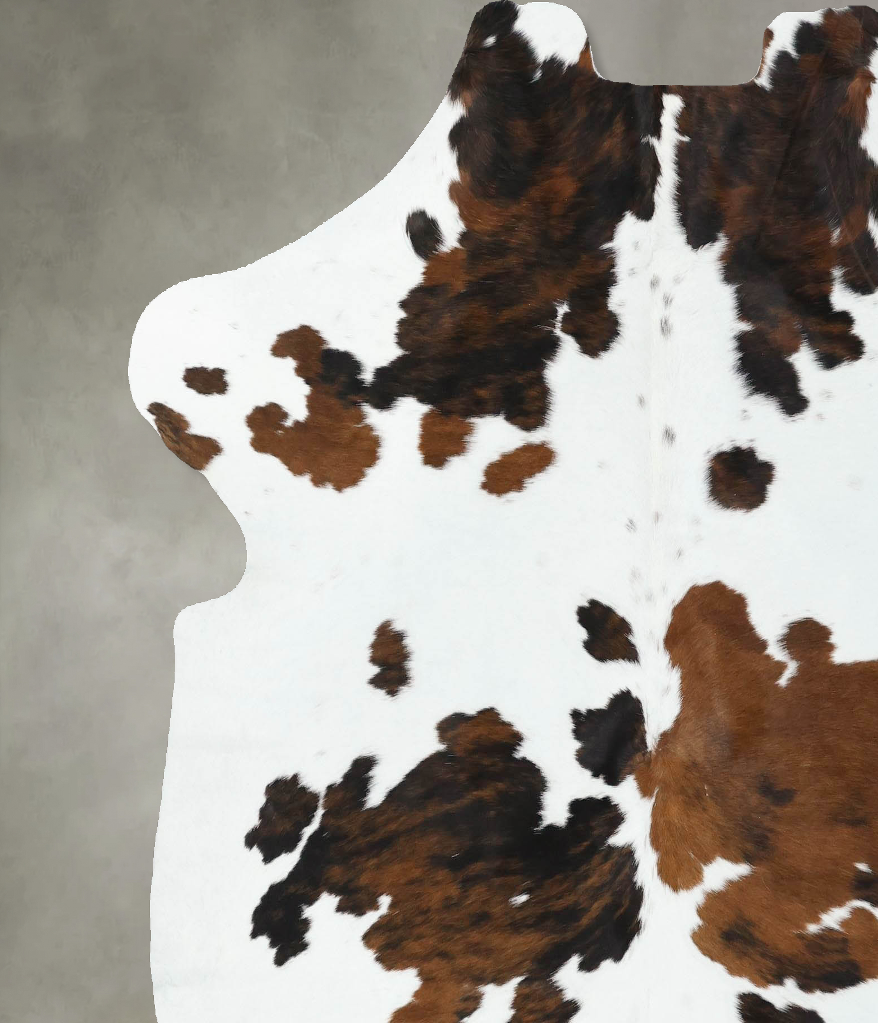 Tricolor Cowhide Rug #B22604