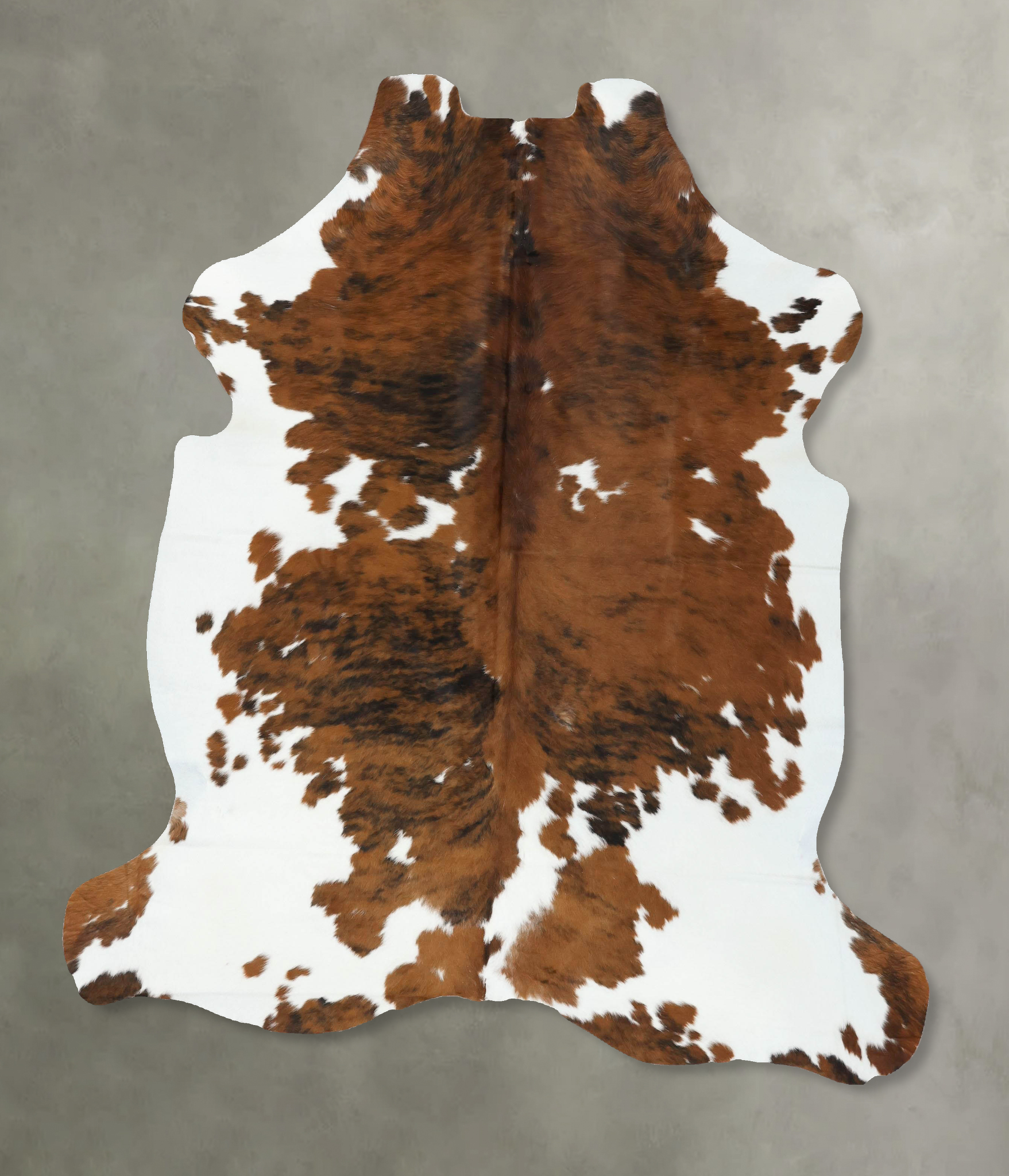 Tricolor Cowhide Rug #B22605