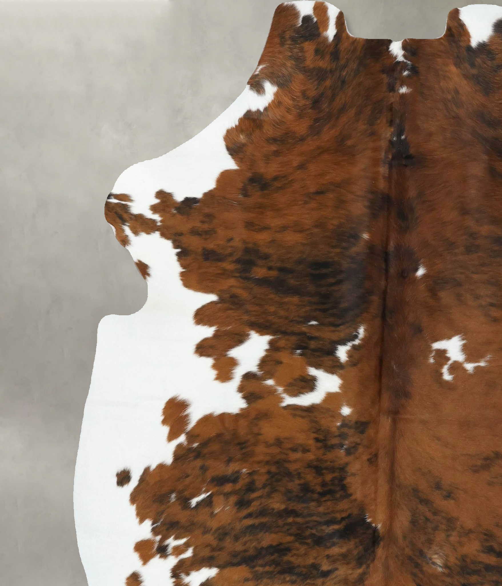 Tricolor Cowhide Rug #B22605