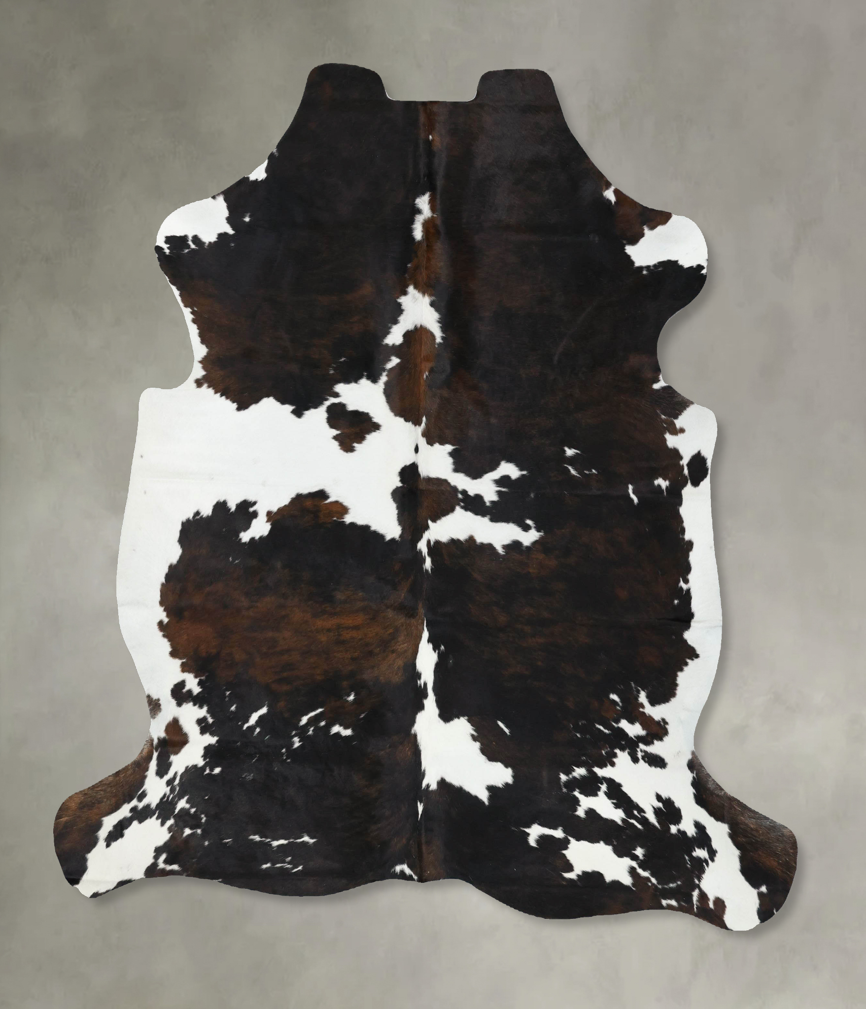 Tricolor Cowhide Rug #B22606