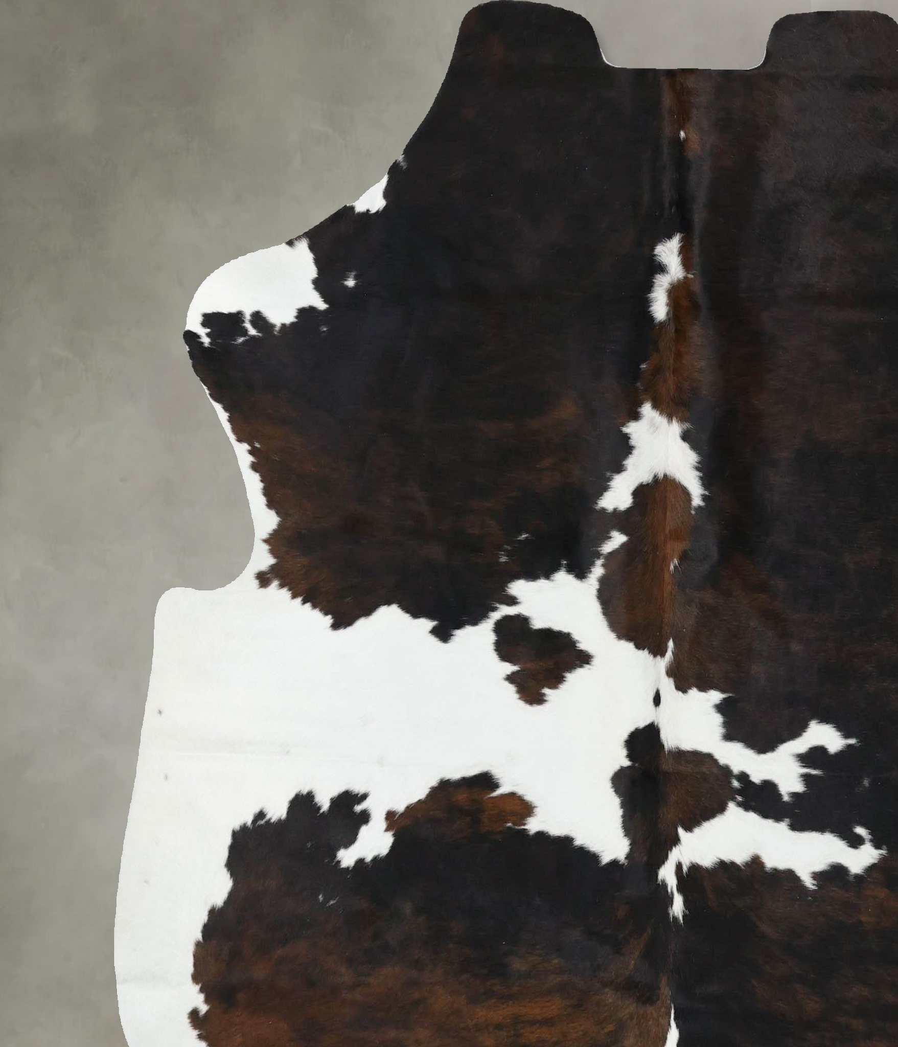 Tricolor Cowhide Rug #B22606