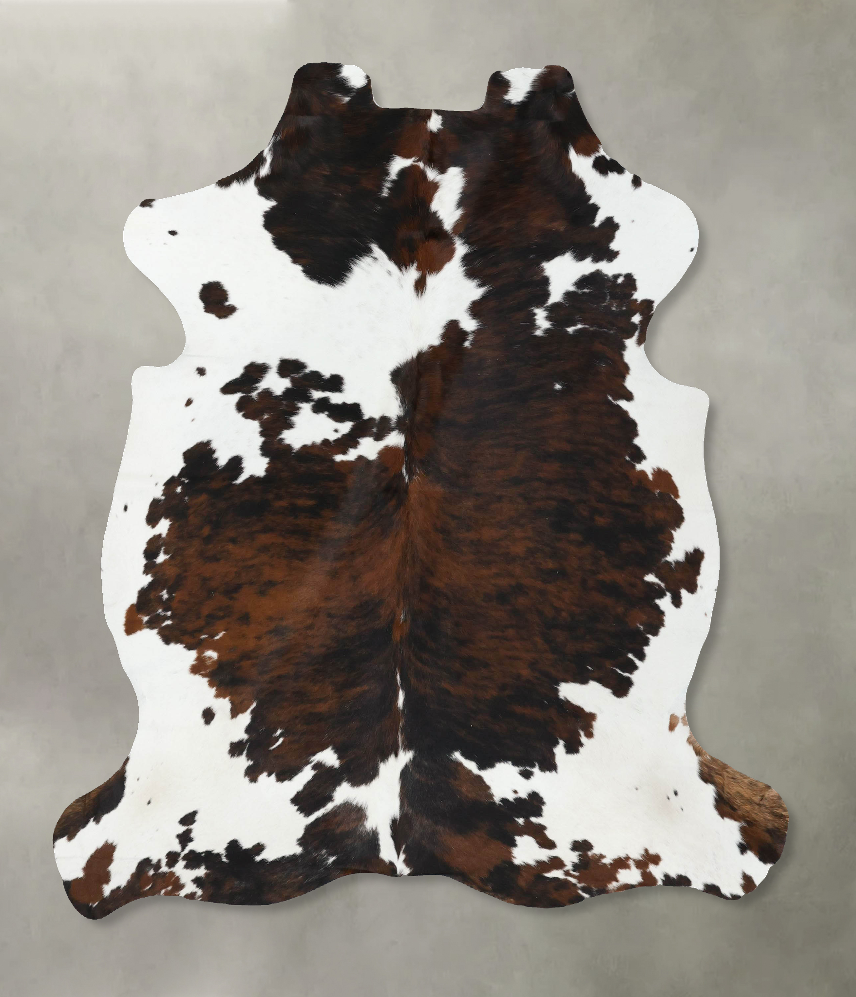 Tricolor Cowhide Rug #B22607
