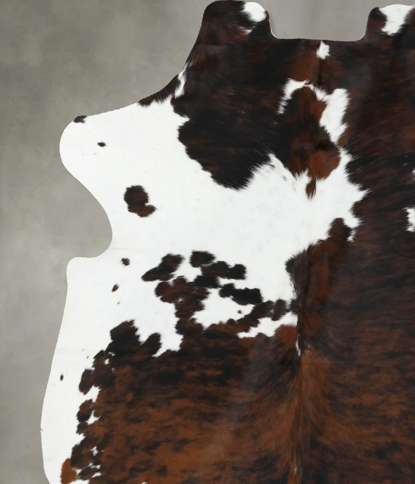 Tricolor Cowhide Rug #B22607