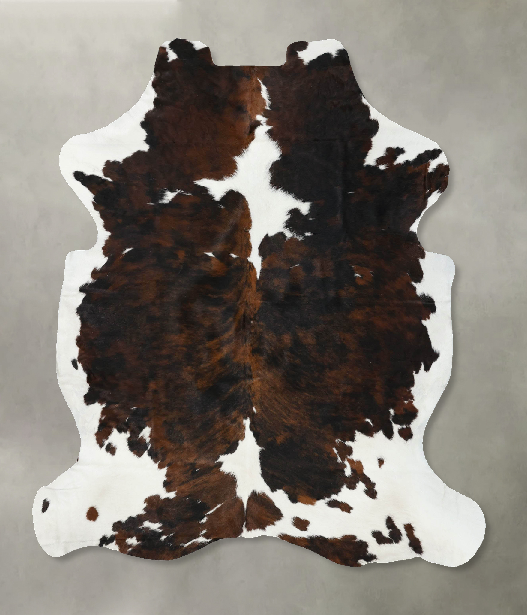Tricolor Cowhide Rug #B22609