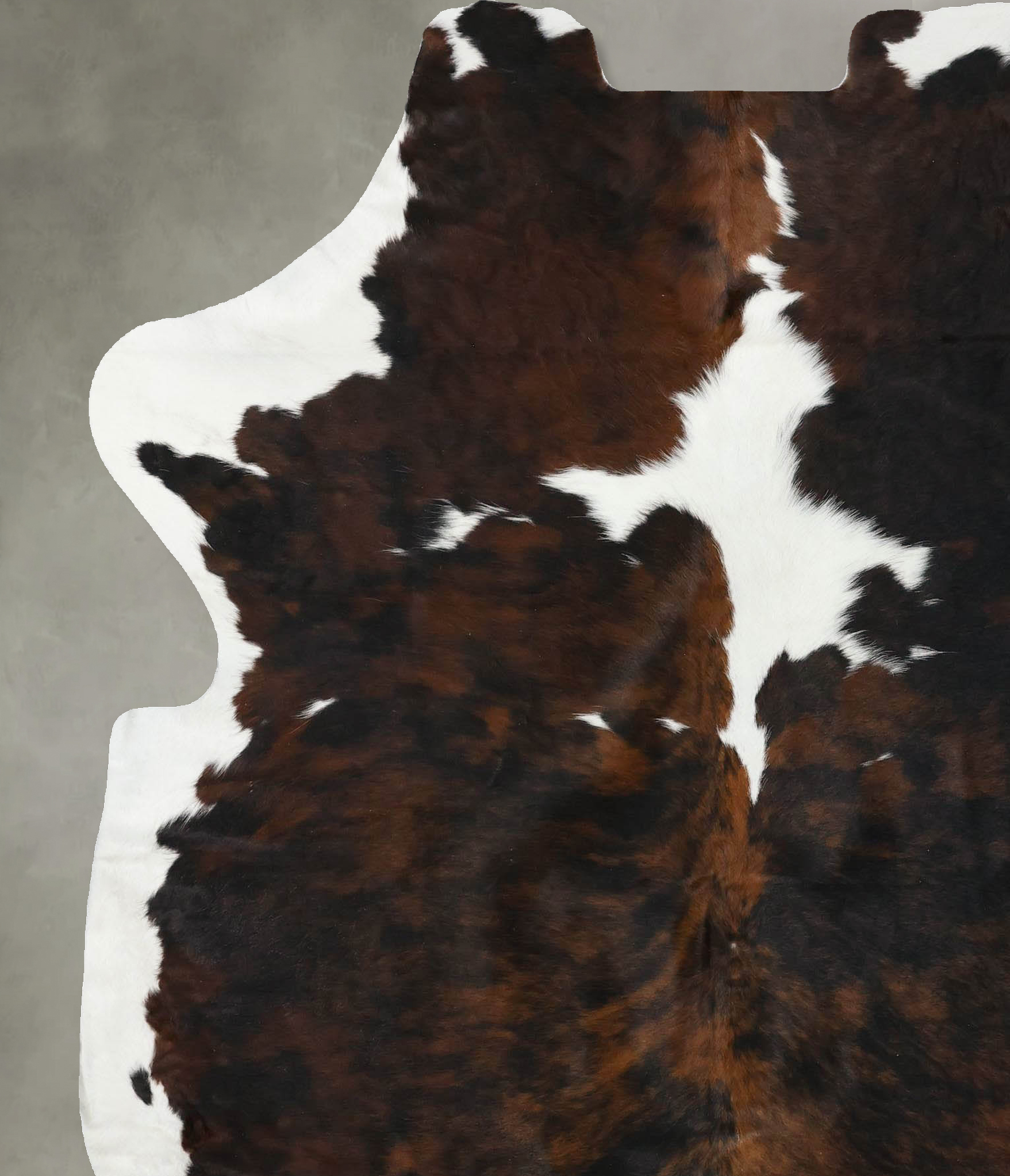 Tricolor Cowhide Rug #B22609