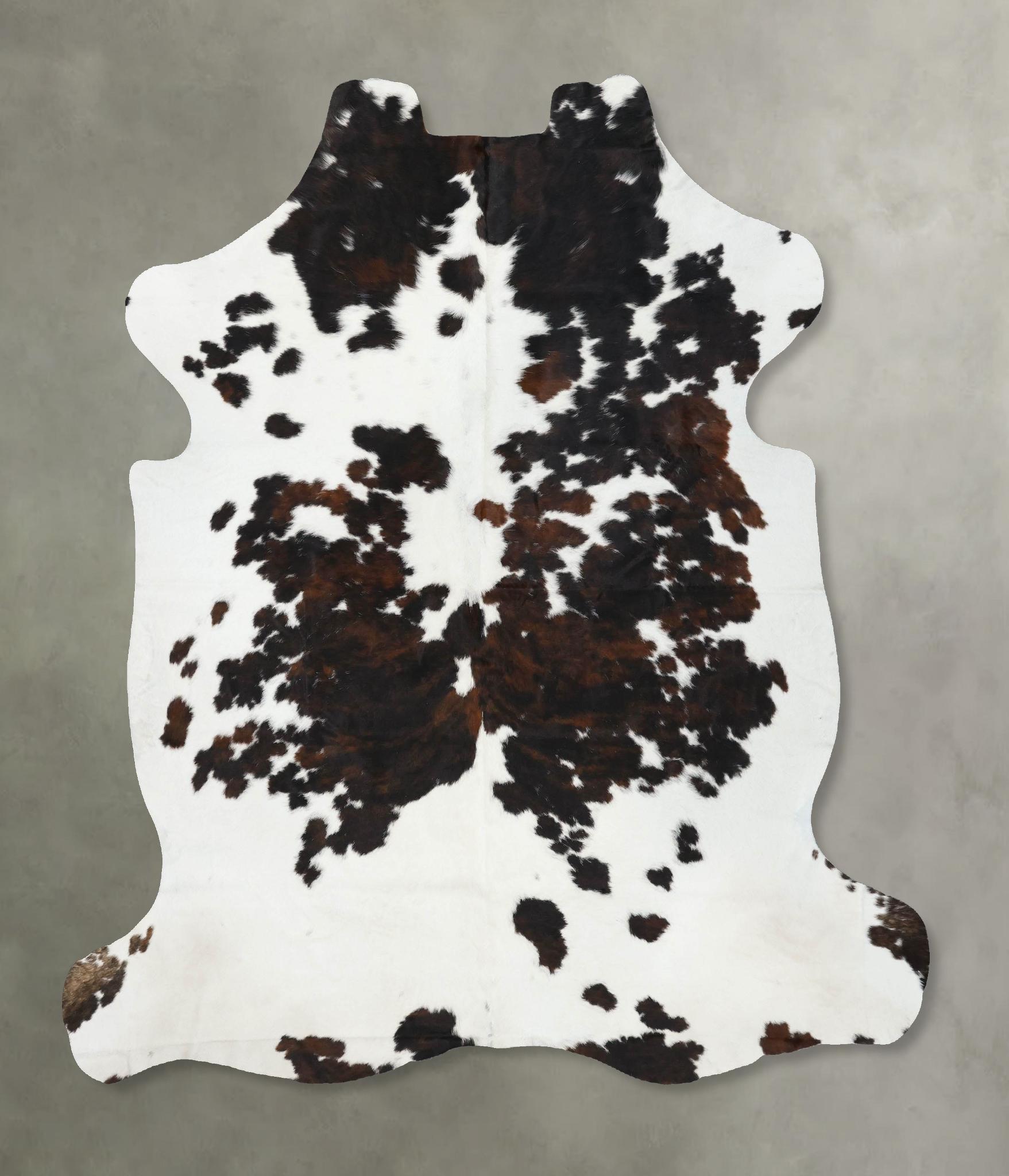Tricolor Cowhide Rug #B22610