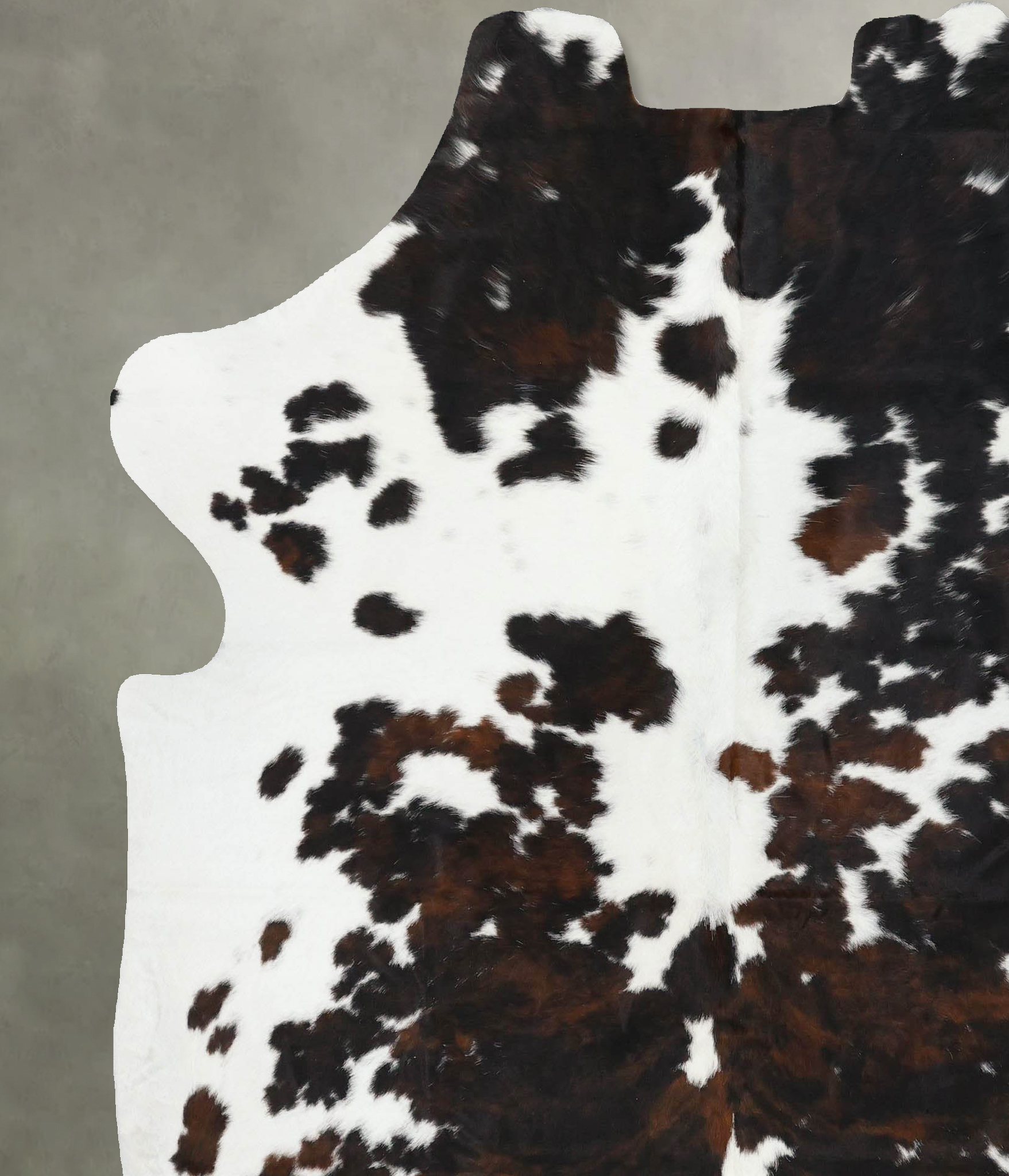 Tricolor Cowhide Rug #B22610