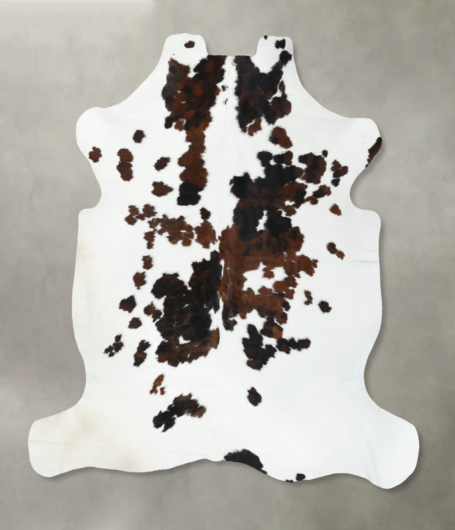 Tricolor Cowhide Rug #B22611
