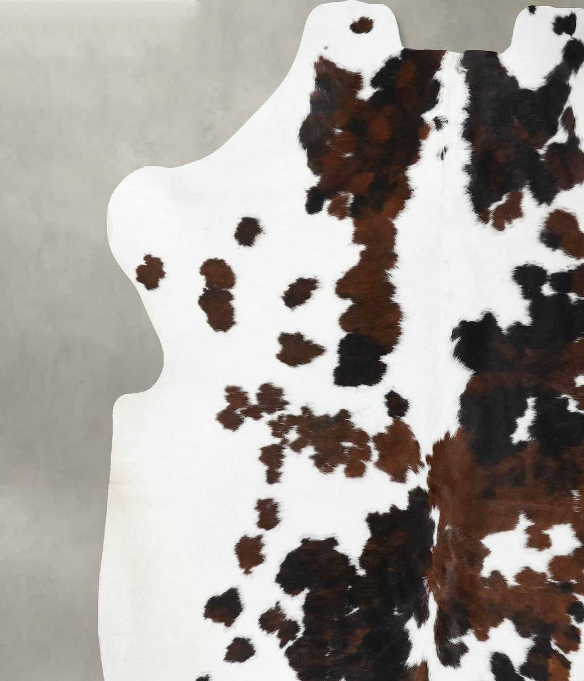 Tricolor XX-Large European Cowhide Rug 7'6"H x 6'11"W #B22611 by Hudson Hides