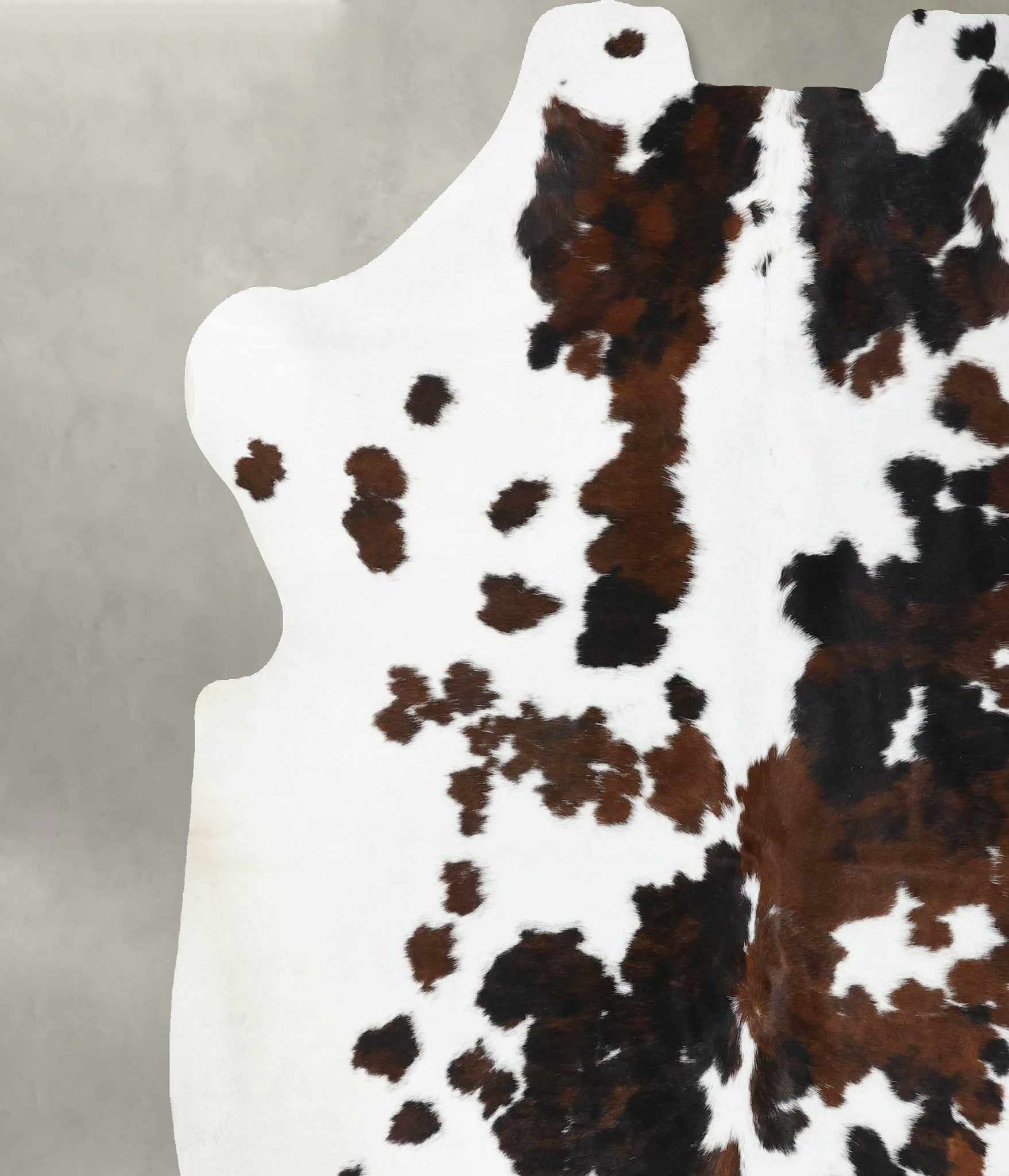 Tricolor Cowhide Rug #B22611