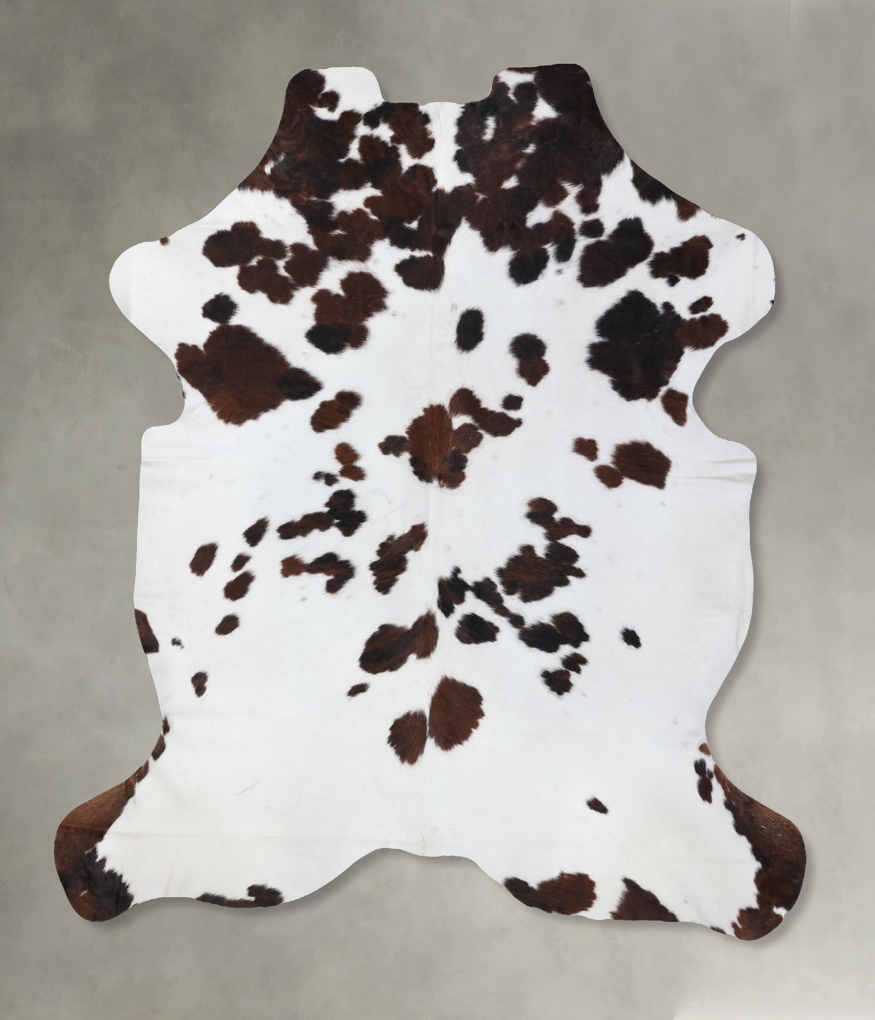 Tricolor Cowhide Rug #B22613