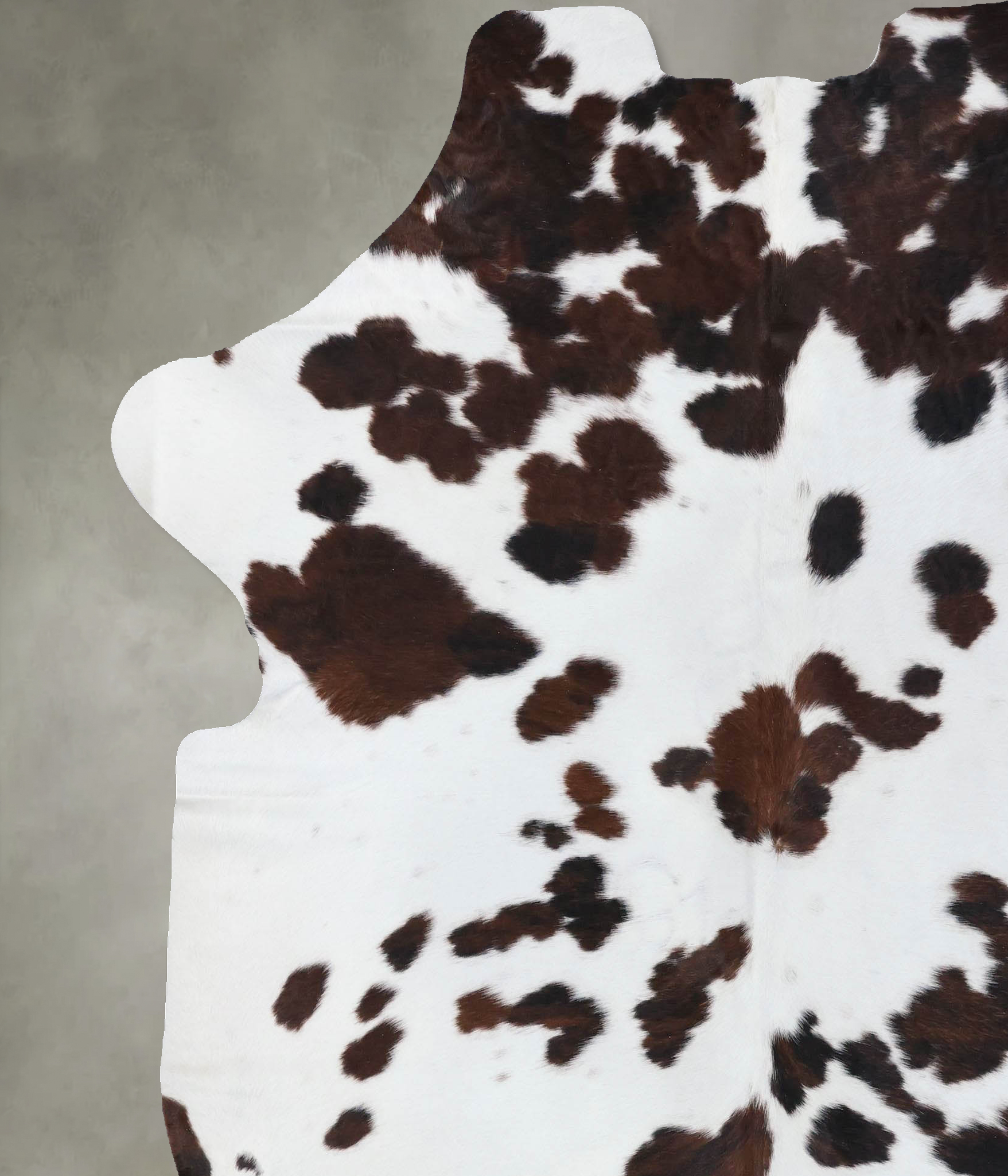 Tricolor Cowhide Rug #B22613
