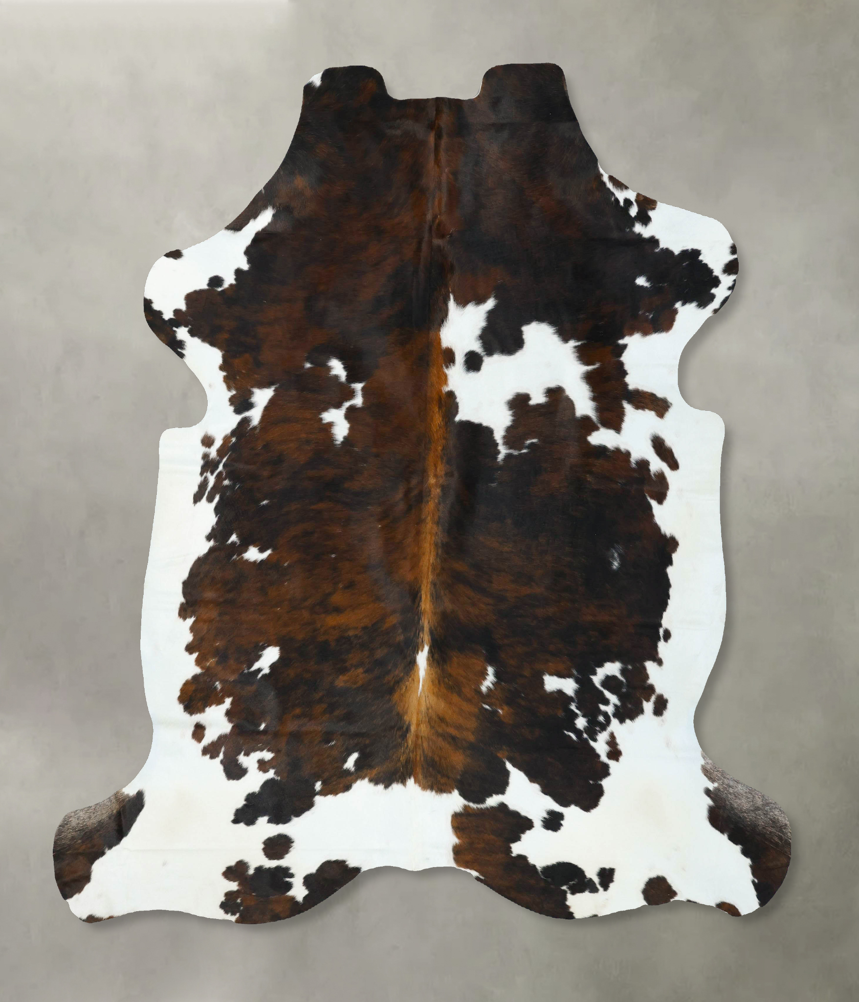 Tricolor Cowhide Rug #B22614
