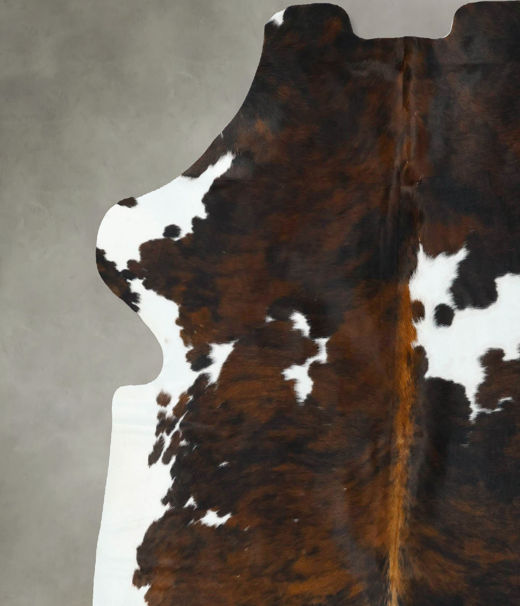 Tricolor Cowhide Rug #B22614