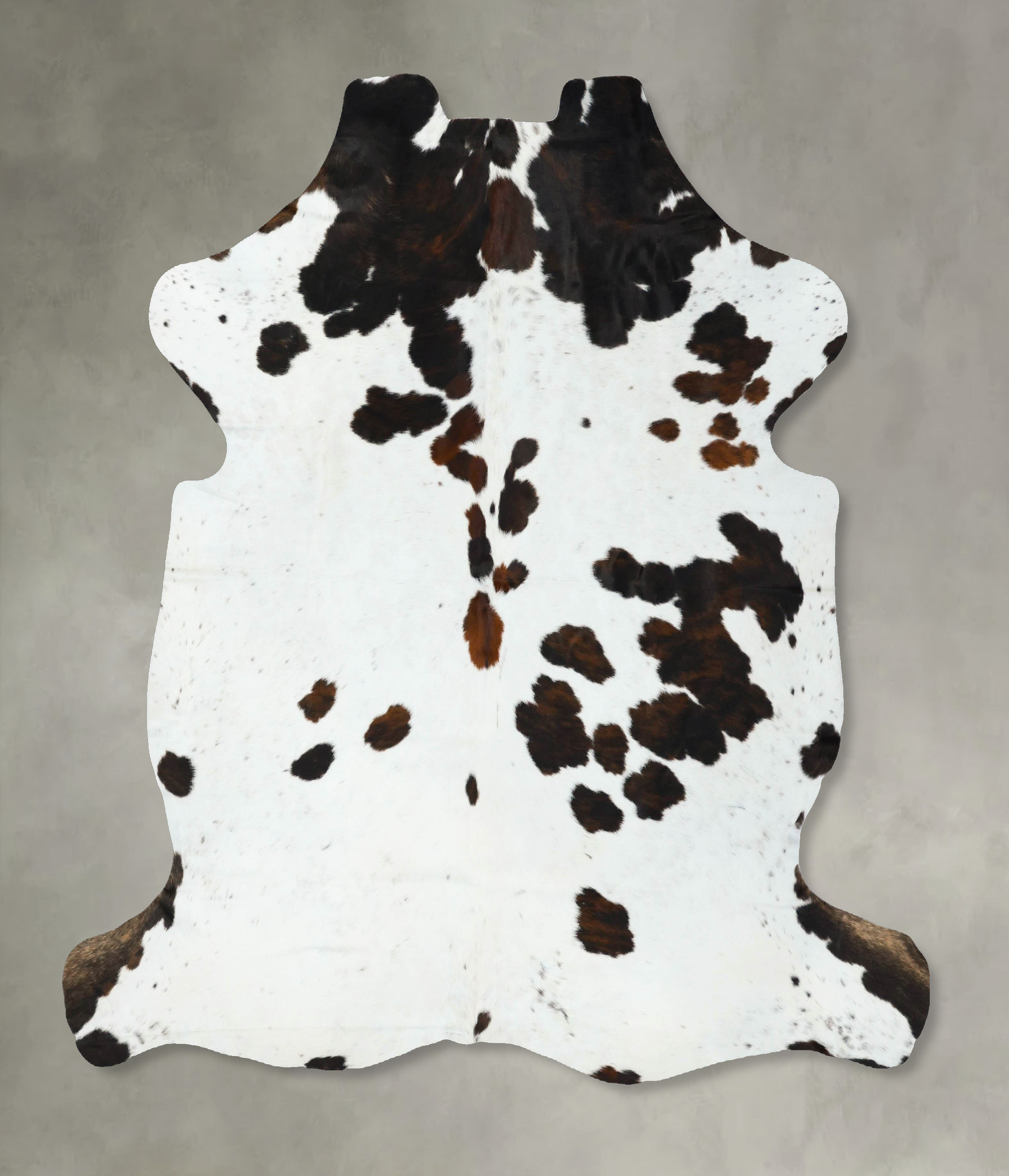 Tricolor Cowhide Rug #B22616