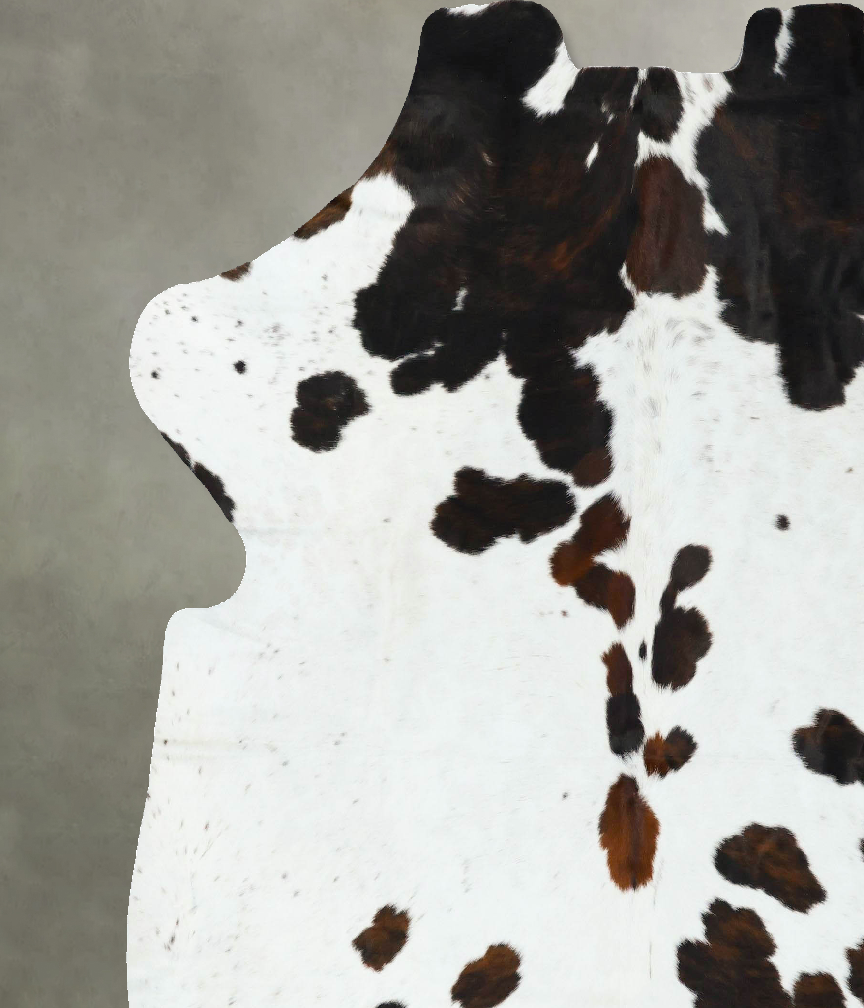Tricolor Cowhide Rug #B22616