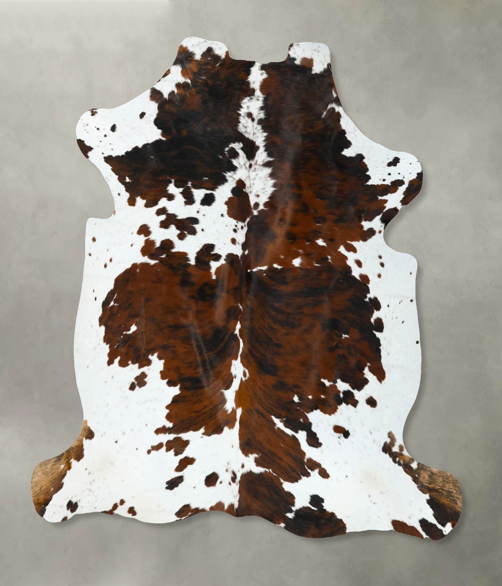 Tricolor Cowhide Rug #B22617