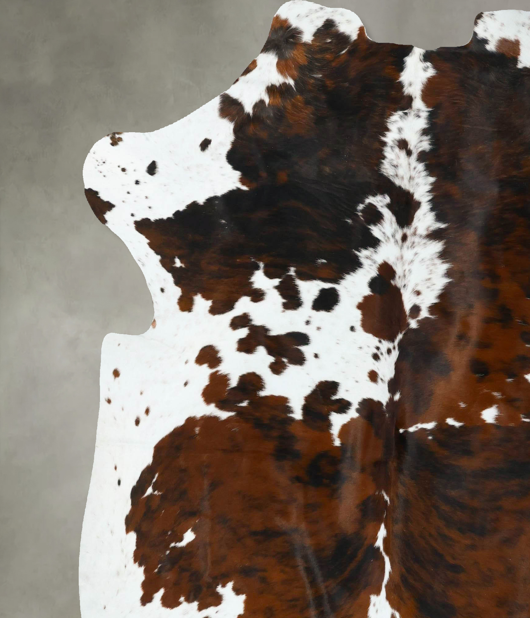 Tricolor Cowhide Rug #B22617