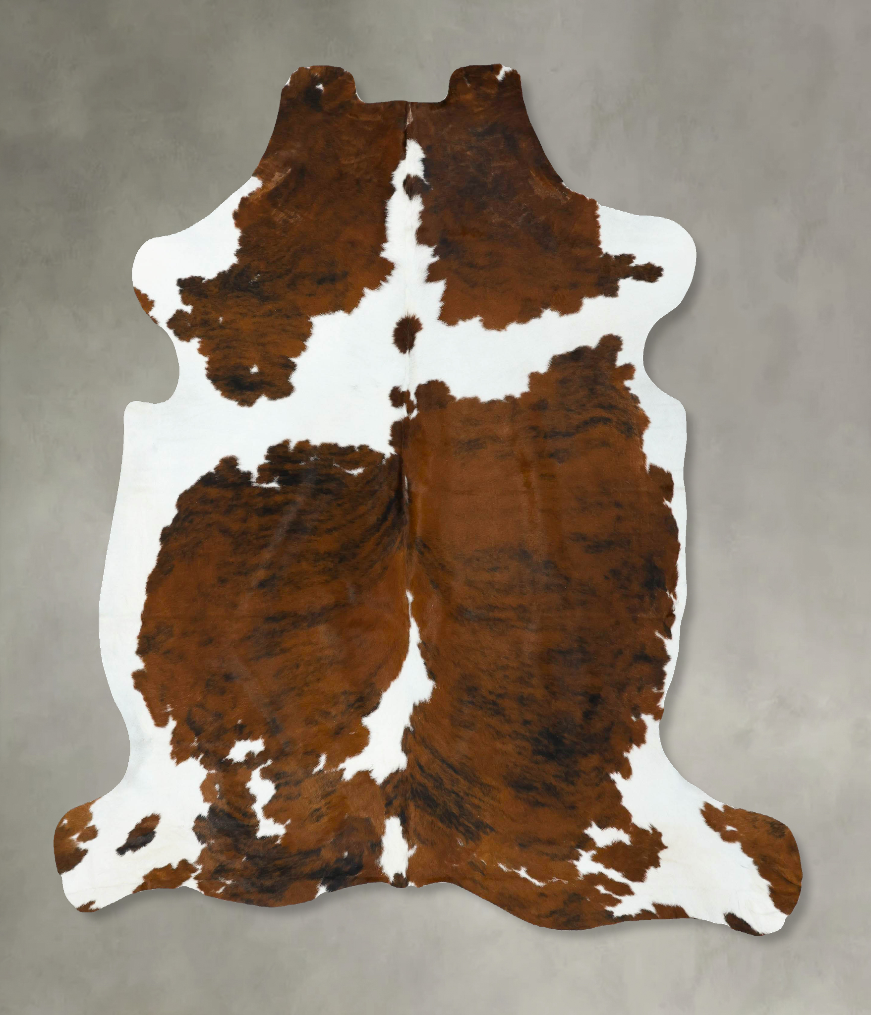 Tricolor Cowhide Rug #B22618