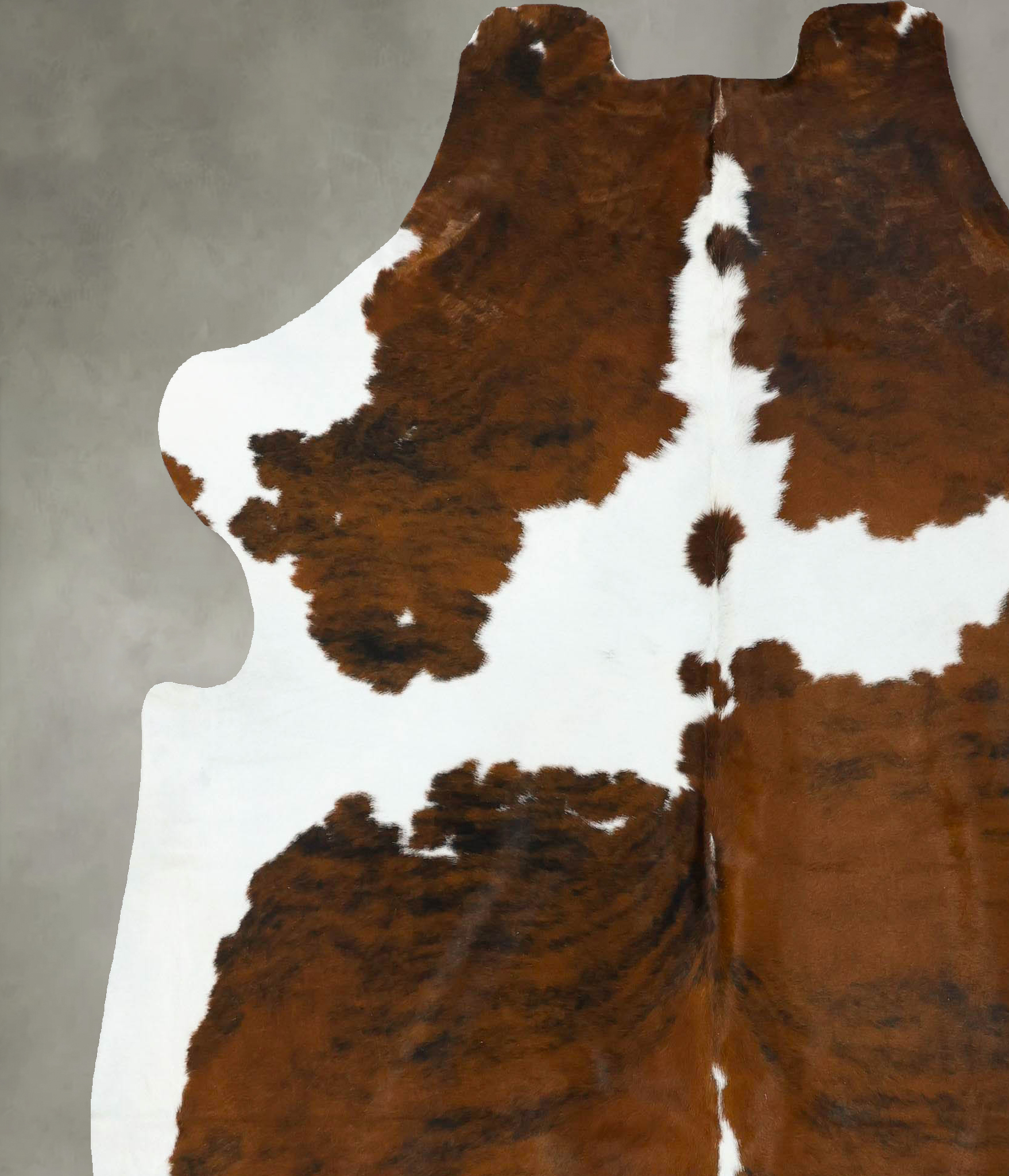 Tricolor Cowhide Rug #B22618