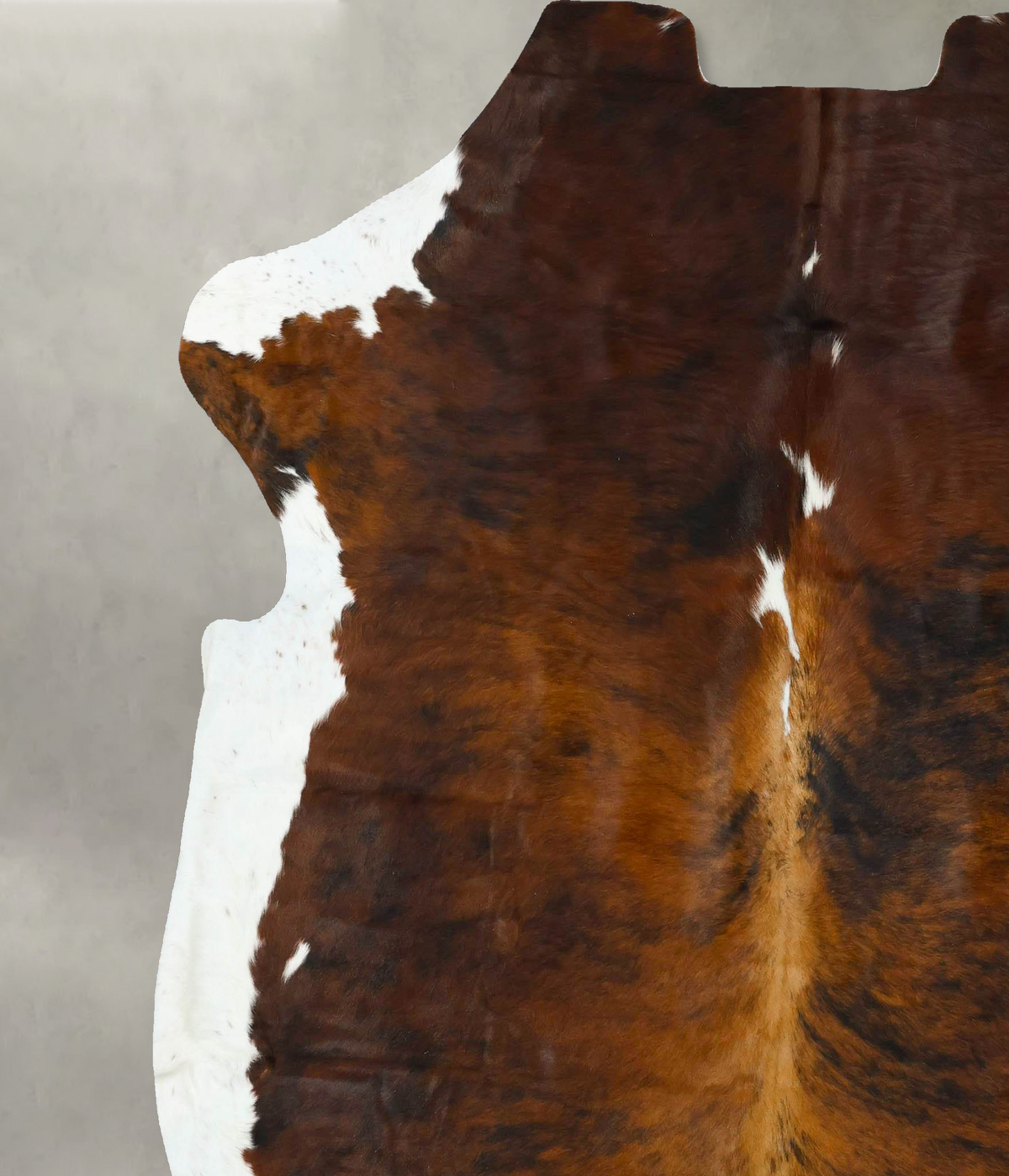 Tricolor XX-Large European Cowhide Rug 7'7"H x 7'0"W #B22621 by Hudson Hides