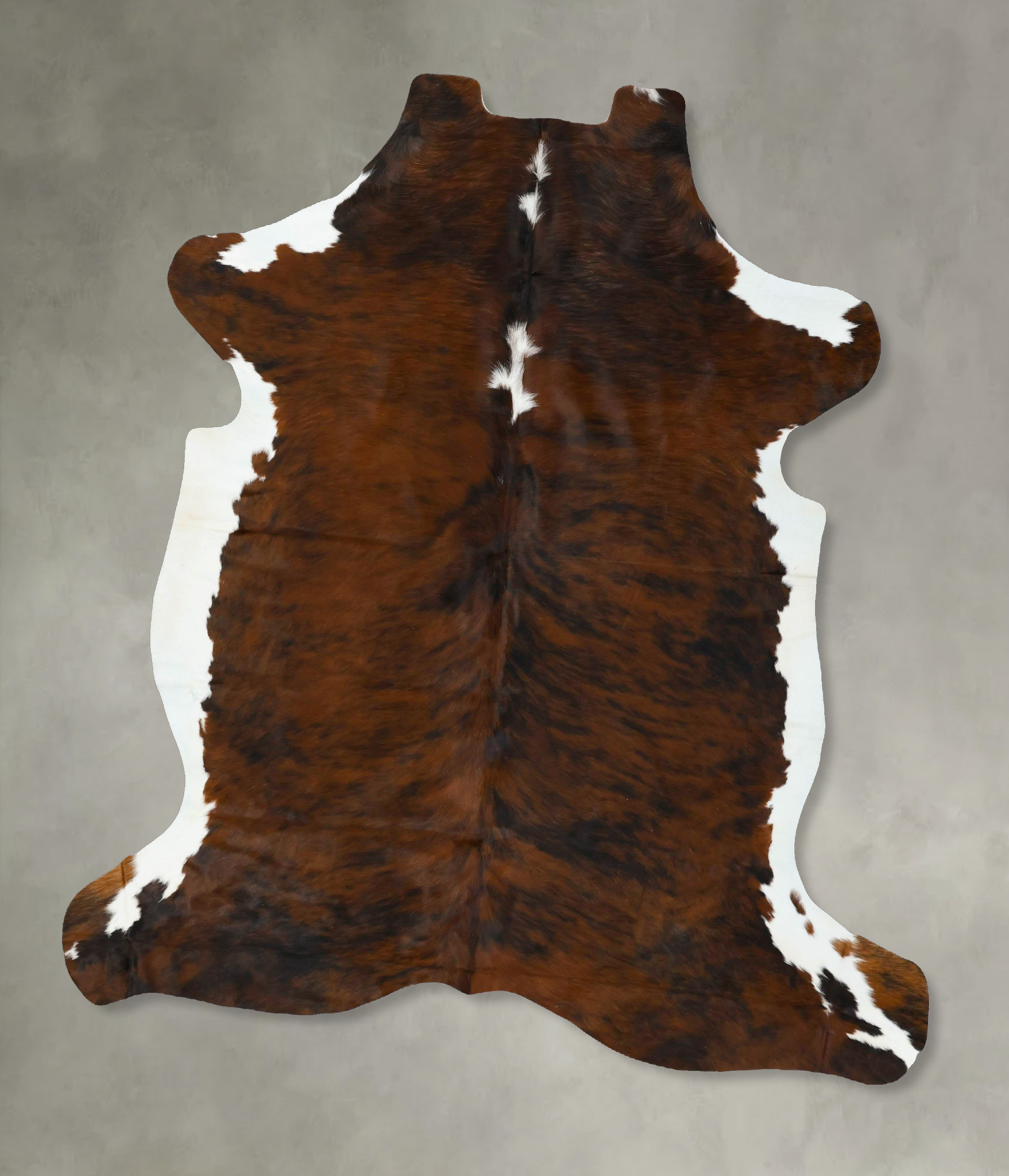 Tricolor Cowhide Rug #B22624