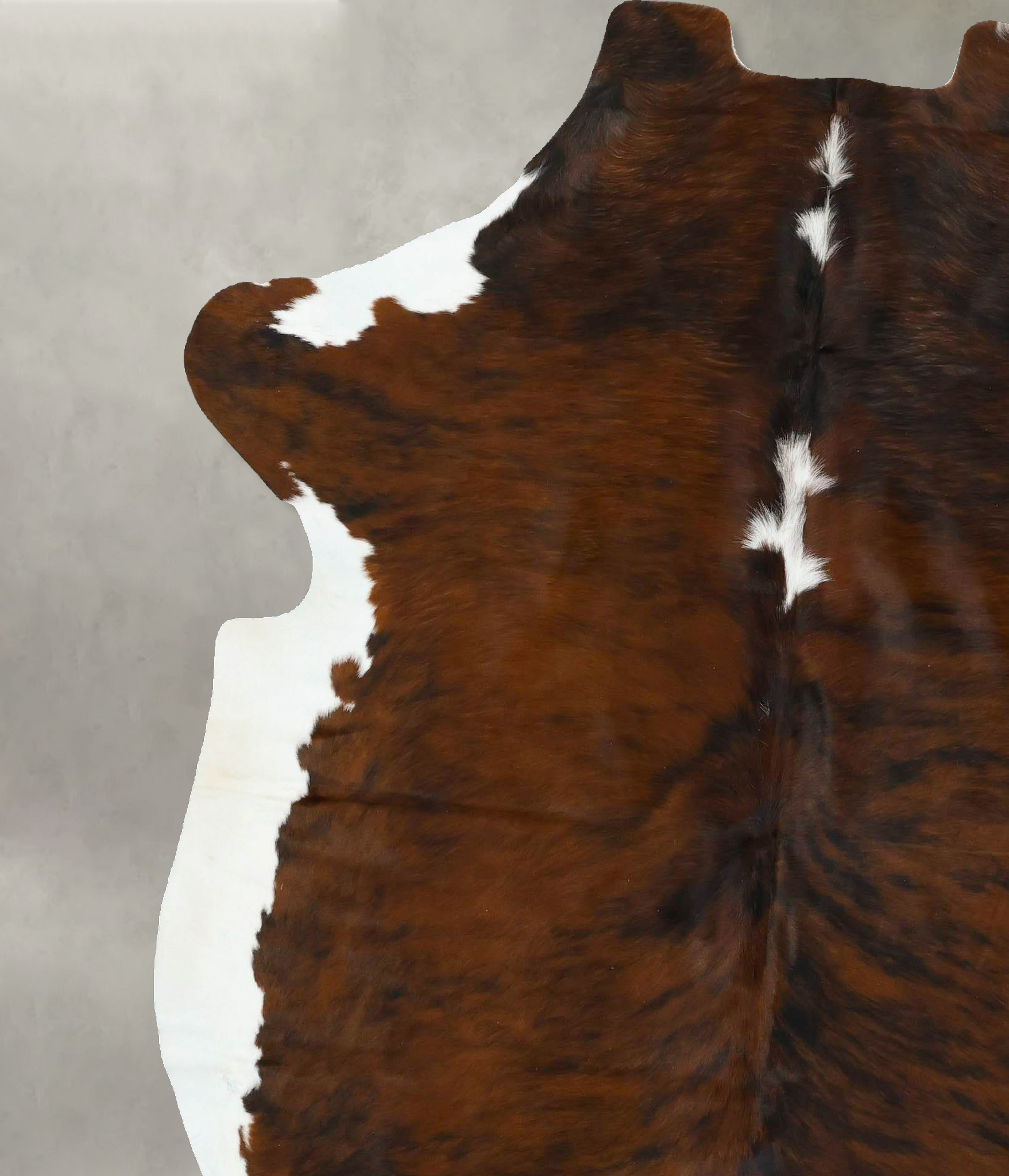 Tricolor Cowhide Rug #B22624