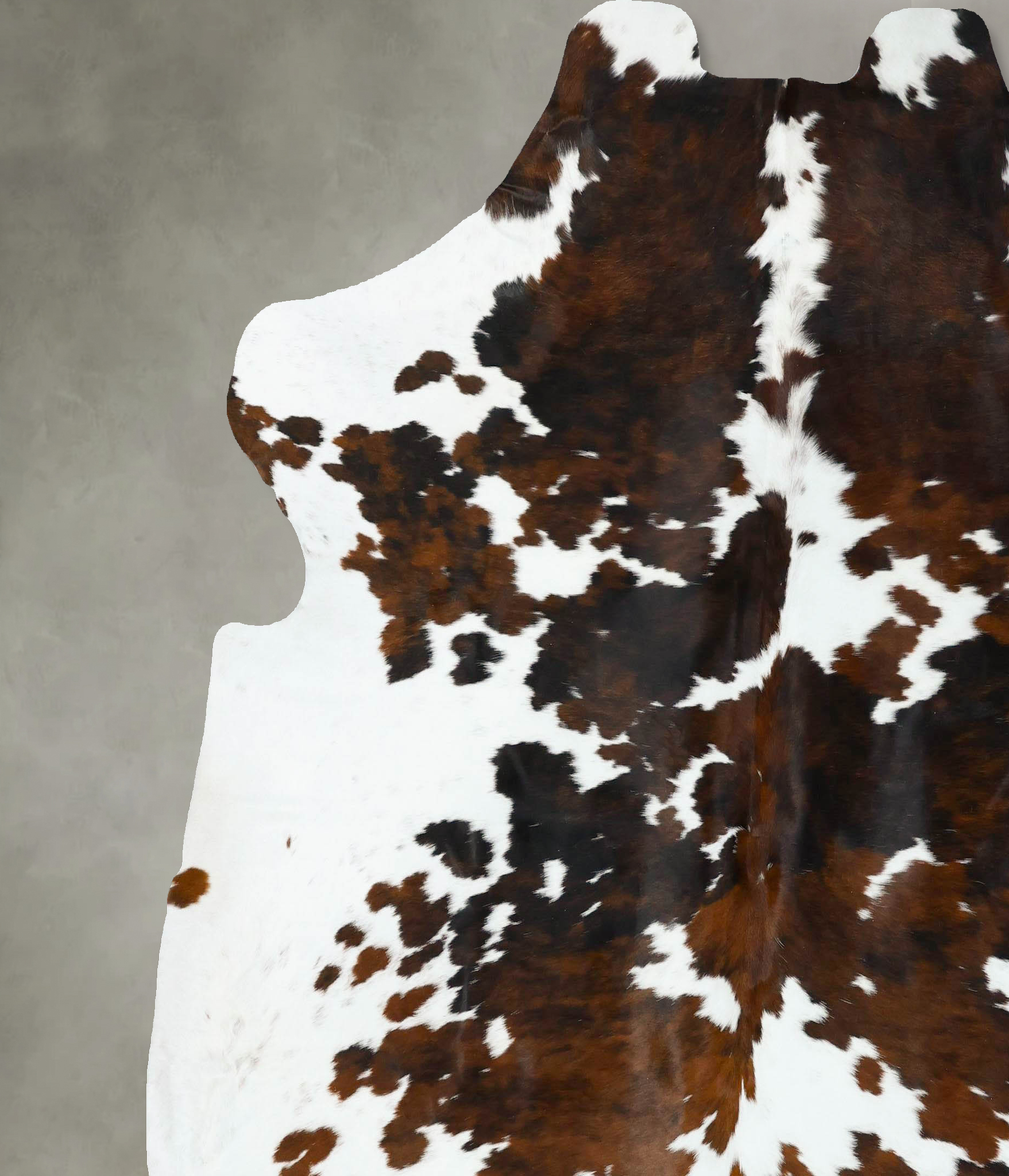 Tricolor Cowhide Rug #B22626
