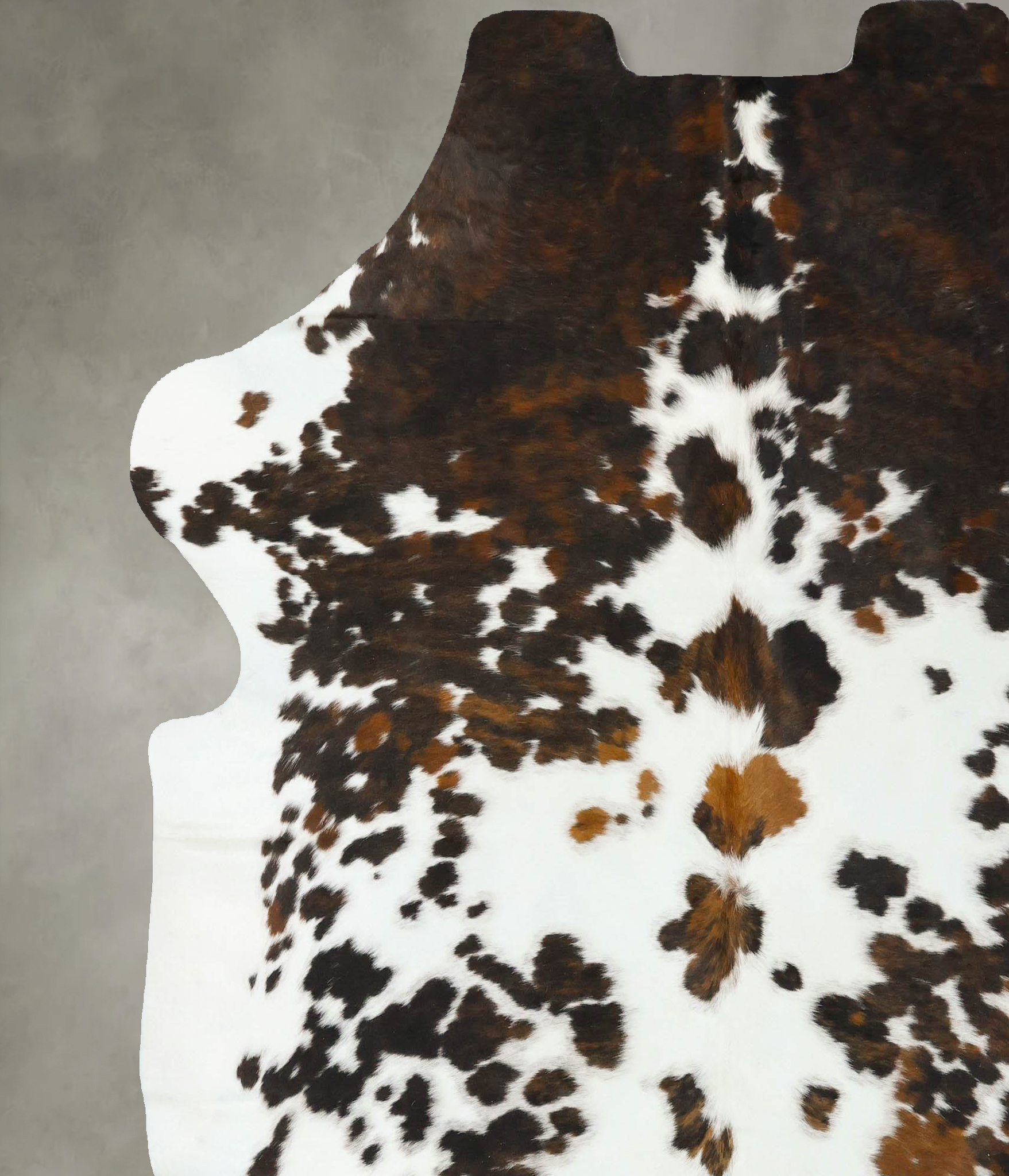 Tricolor Cowhide Rug #B22627