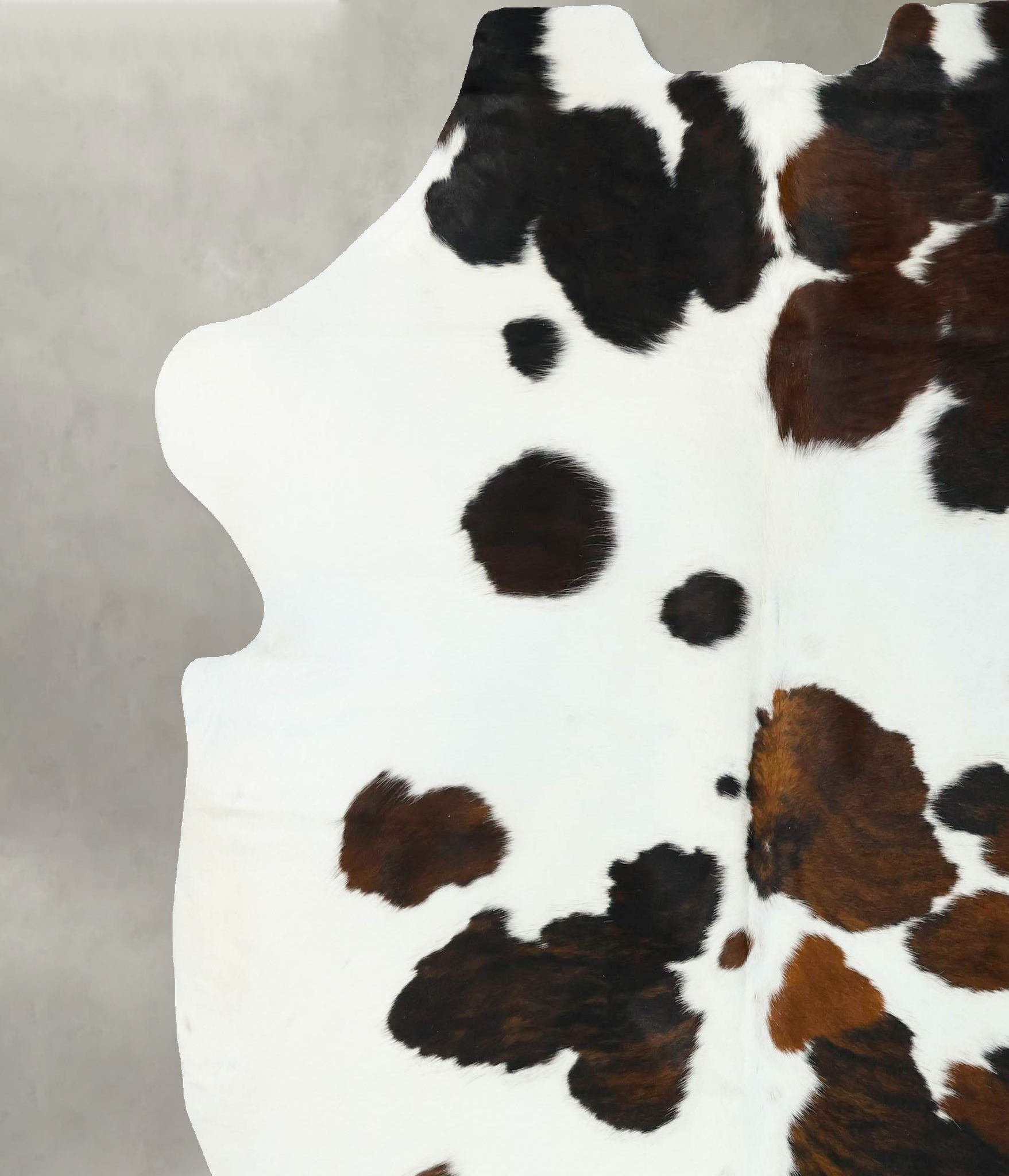 Tricolor Cowhide Rug #B22628