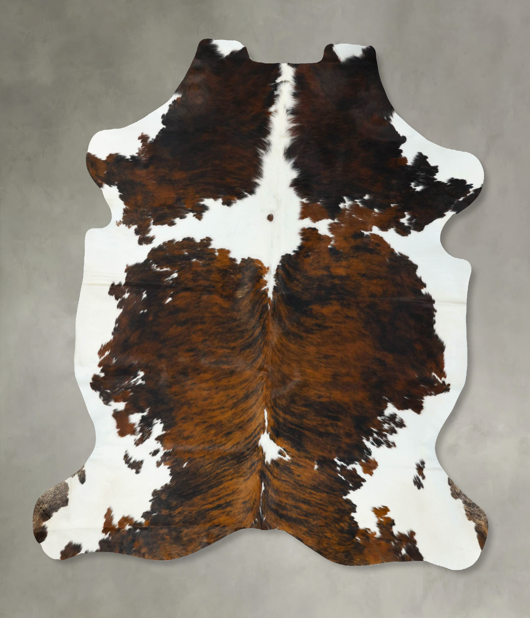 Tricolor Cowhide Rug #B22629