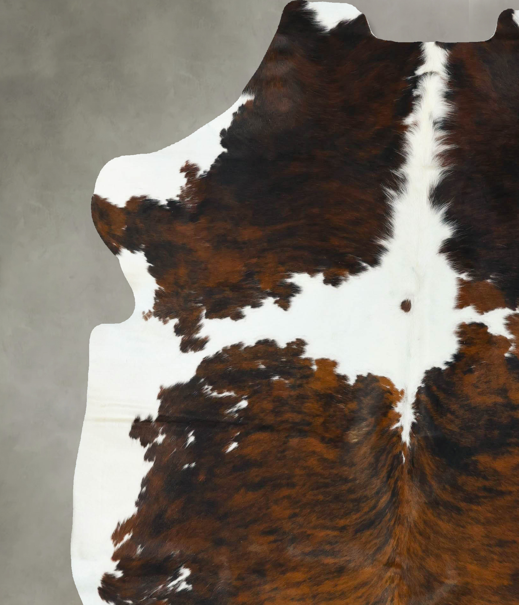 Tricolor Cowhide Rug #B22629