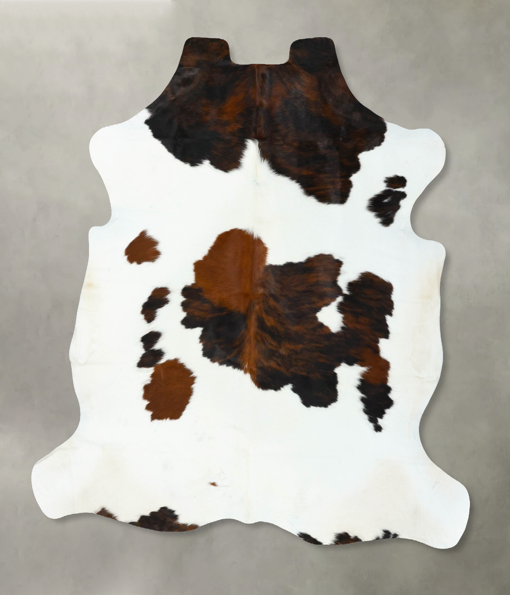 Tricolor Cowhide Rug #B22630
