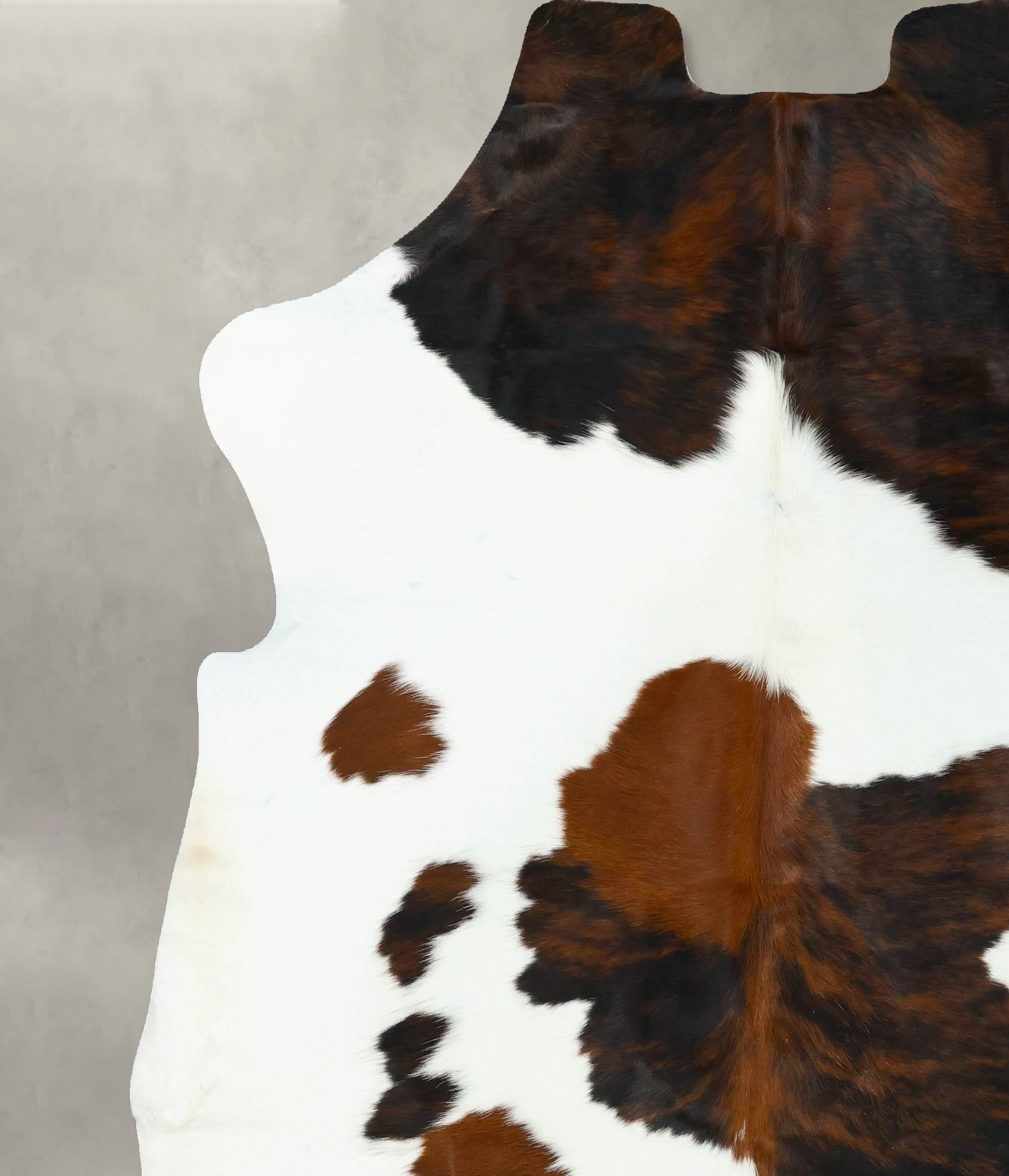 Tricolor Cowhide Rug #B22630