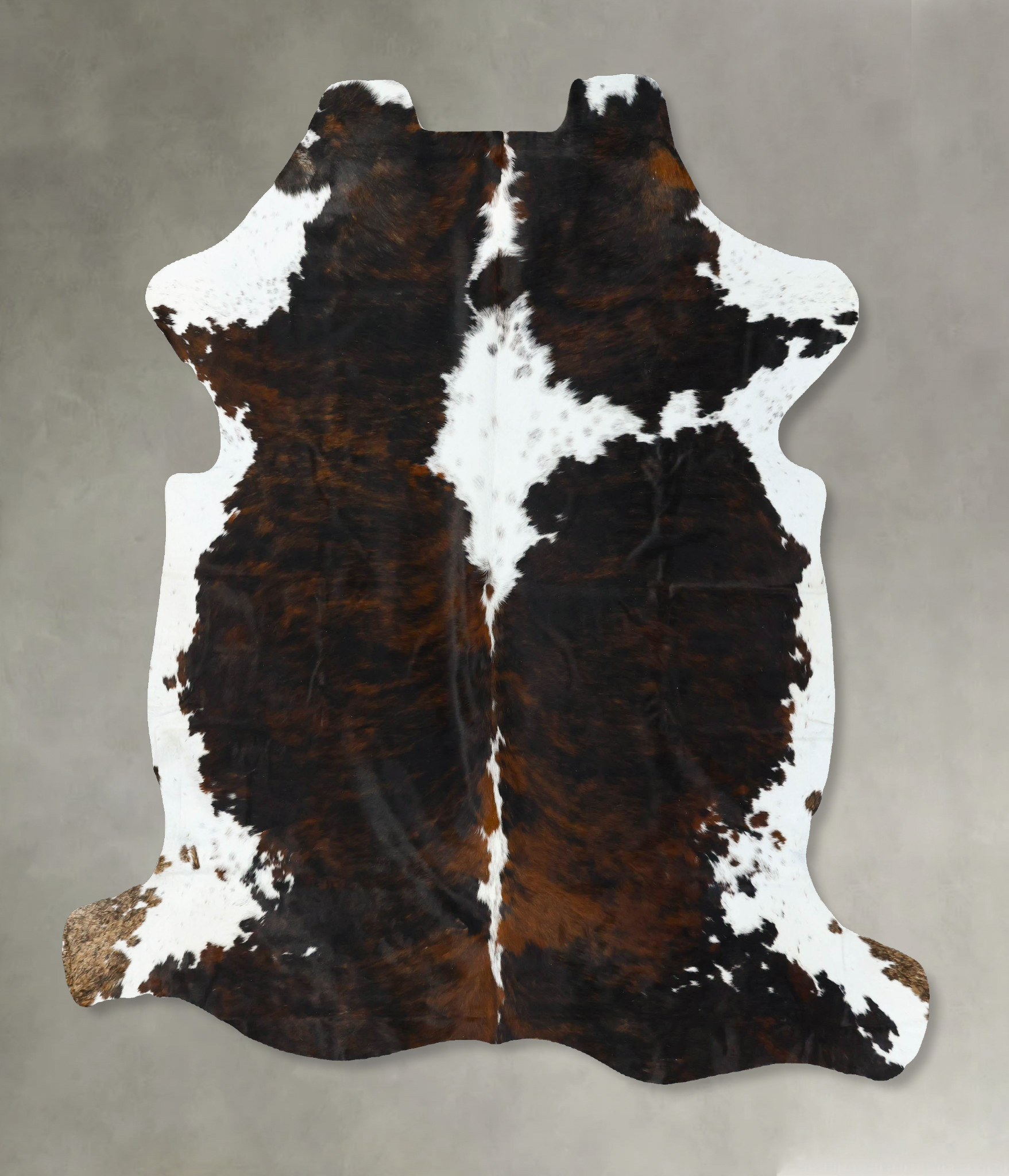 Tricolor Cowhide Rug #B22631
