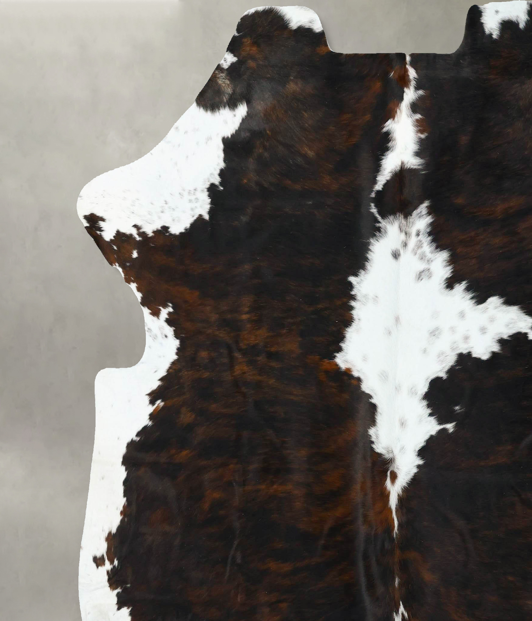 Tricolor Cowhide Rug #B22631