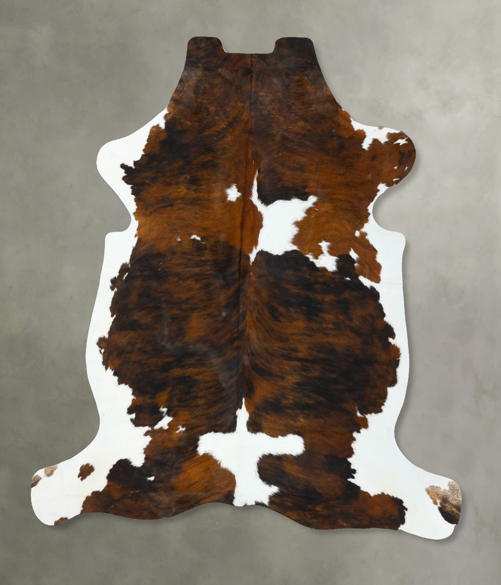 Tricolor Cowhide Rug #B22634
