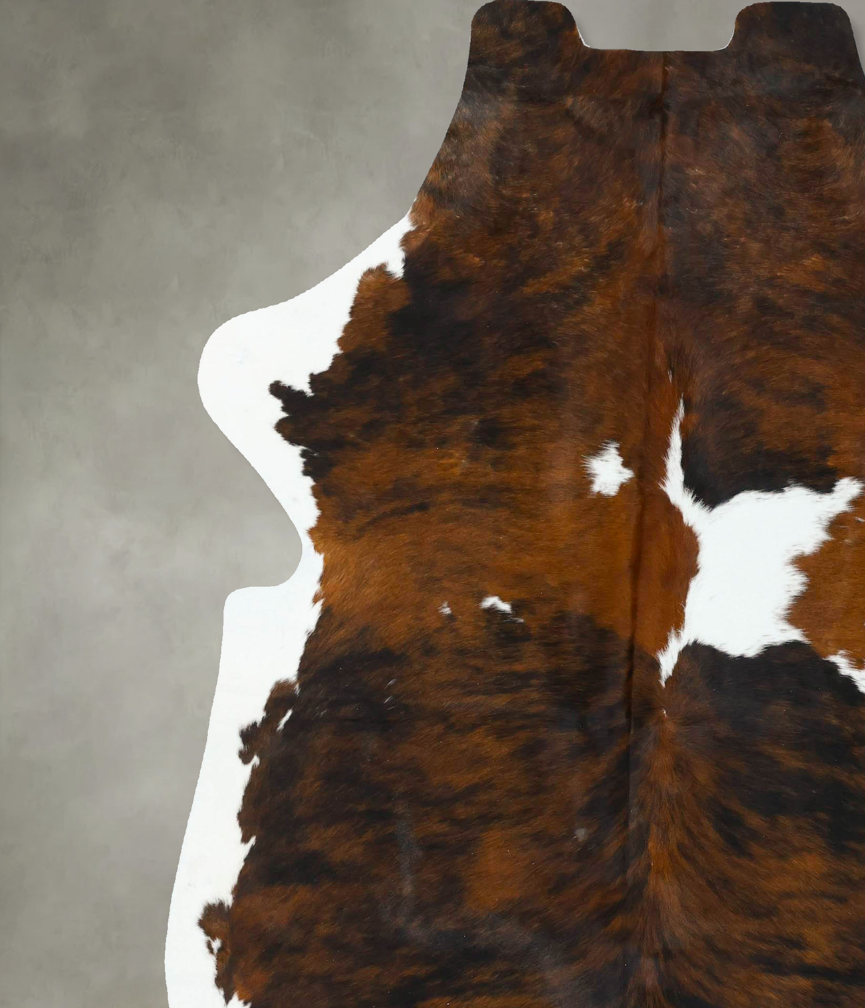 Tricolor Cowhide Rug #B22634