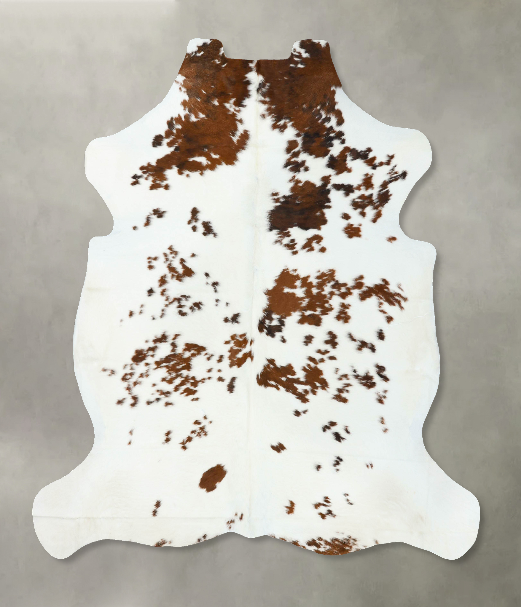 Tricolor Cowhide Rug #B22637